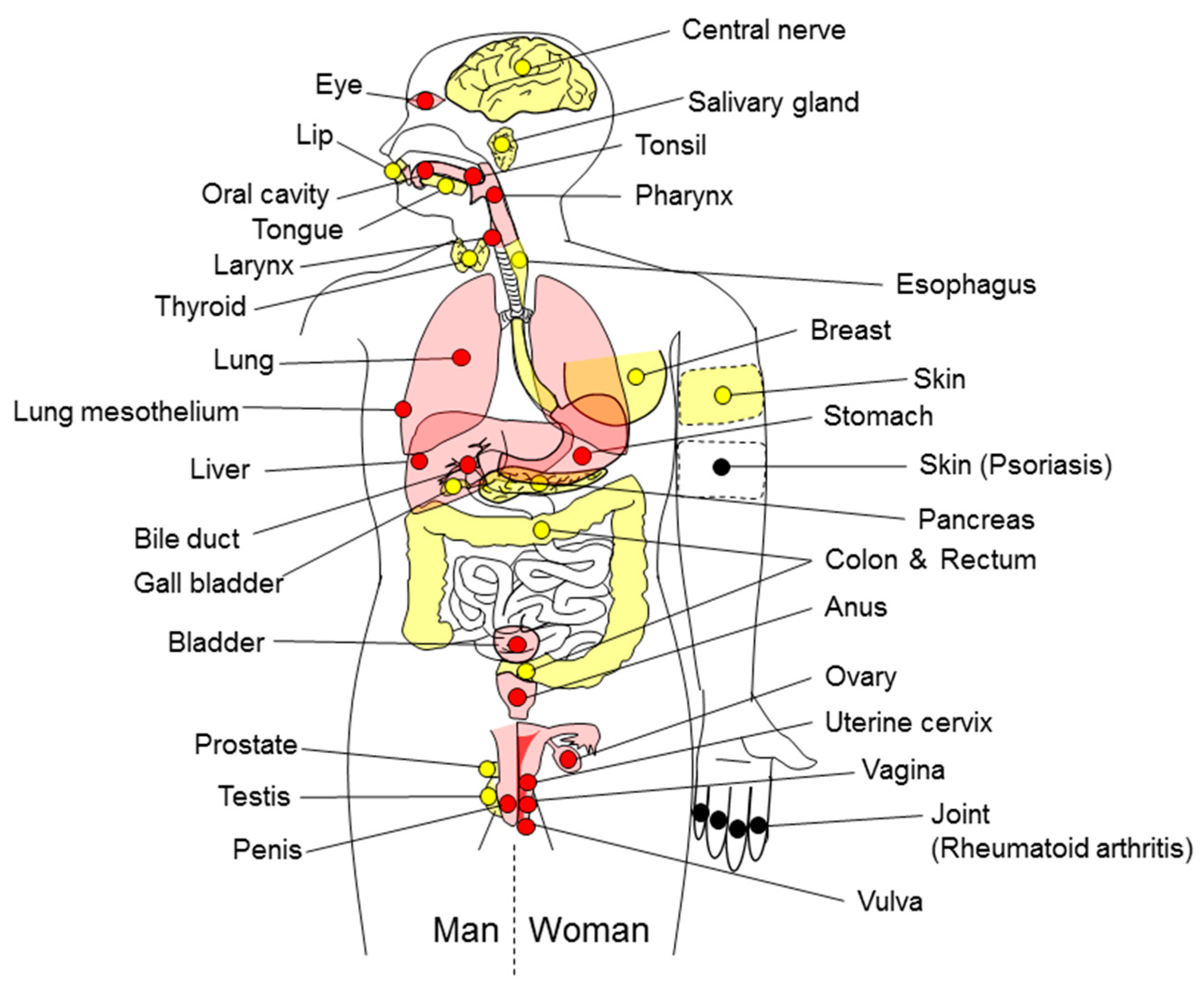 Ijms 18 00867 g001 Ijms 18 00867 g001