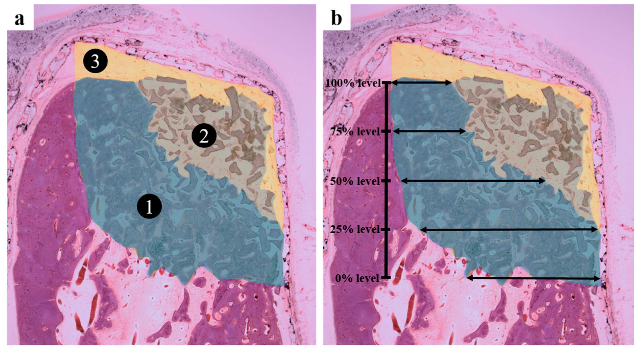 Ijms 18 00899 g008