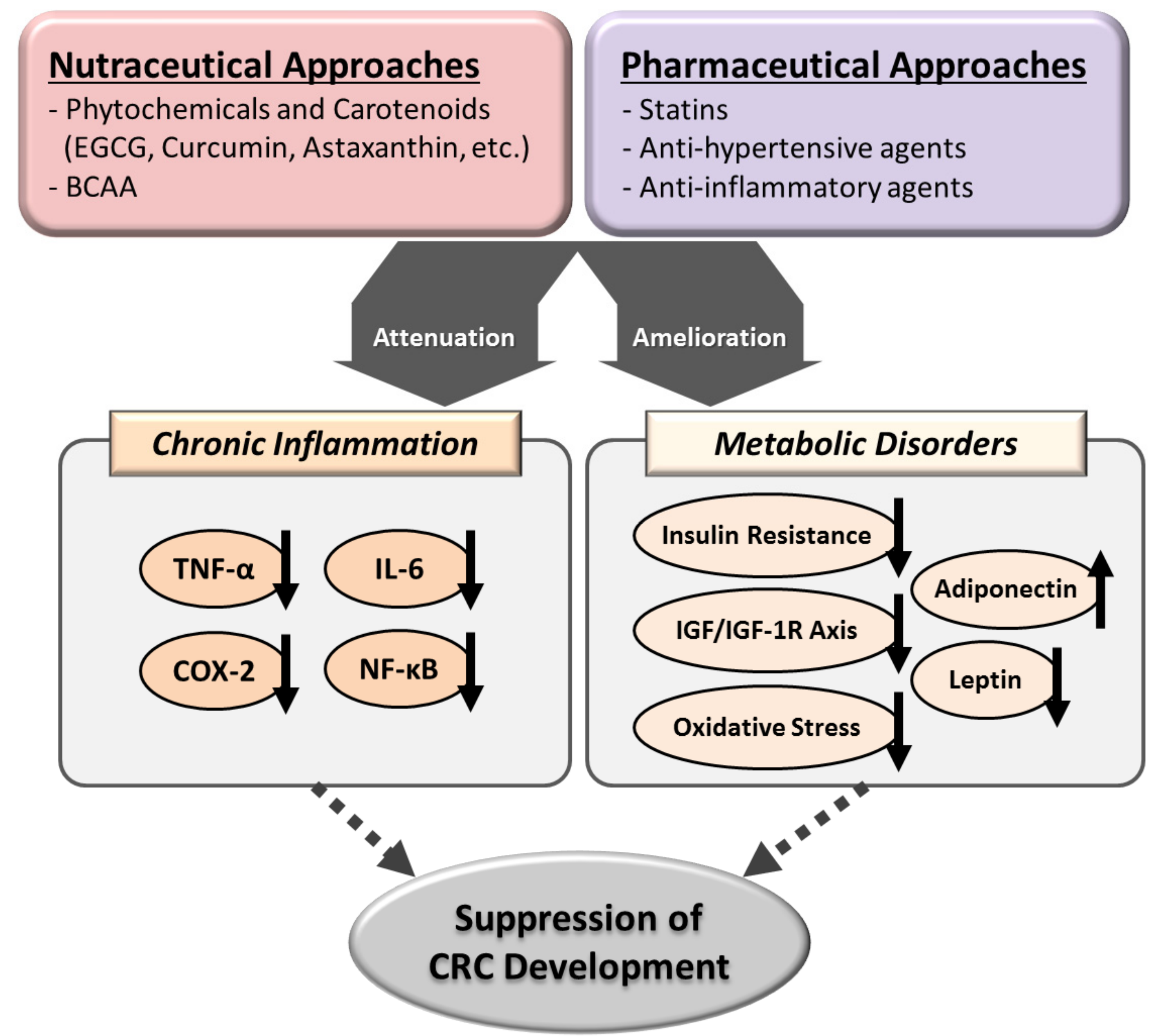 Ijms 18 00908 g003 Ijms 18 00908 g003