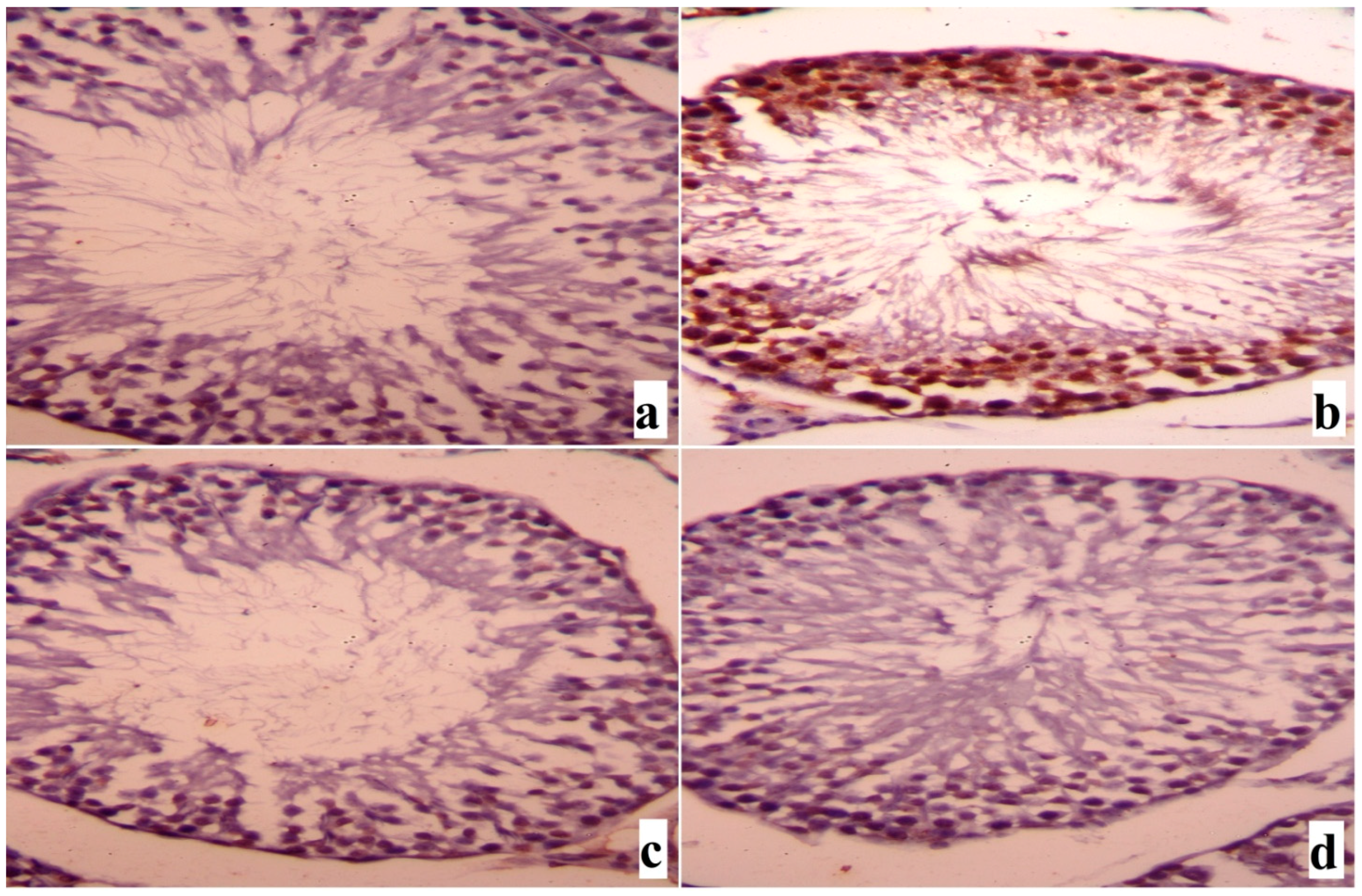 Ijms 18 00957 g009