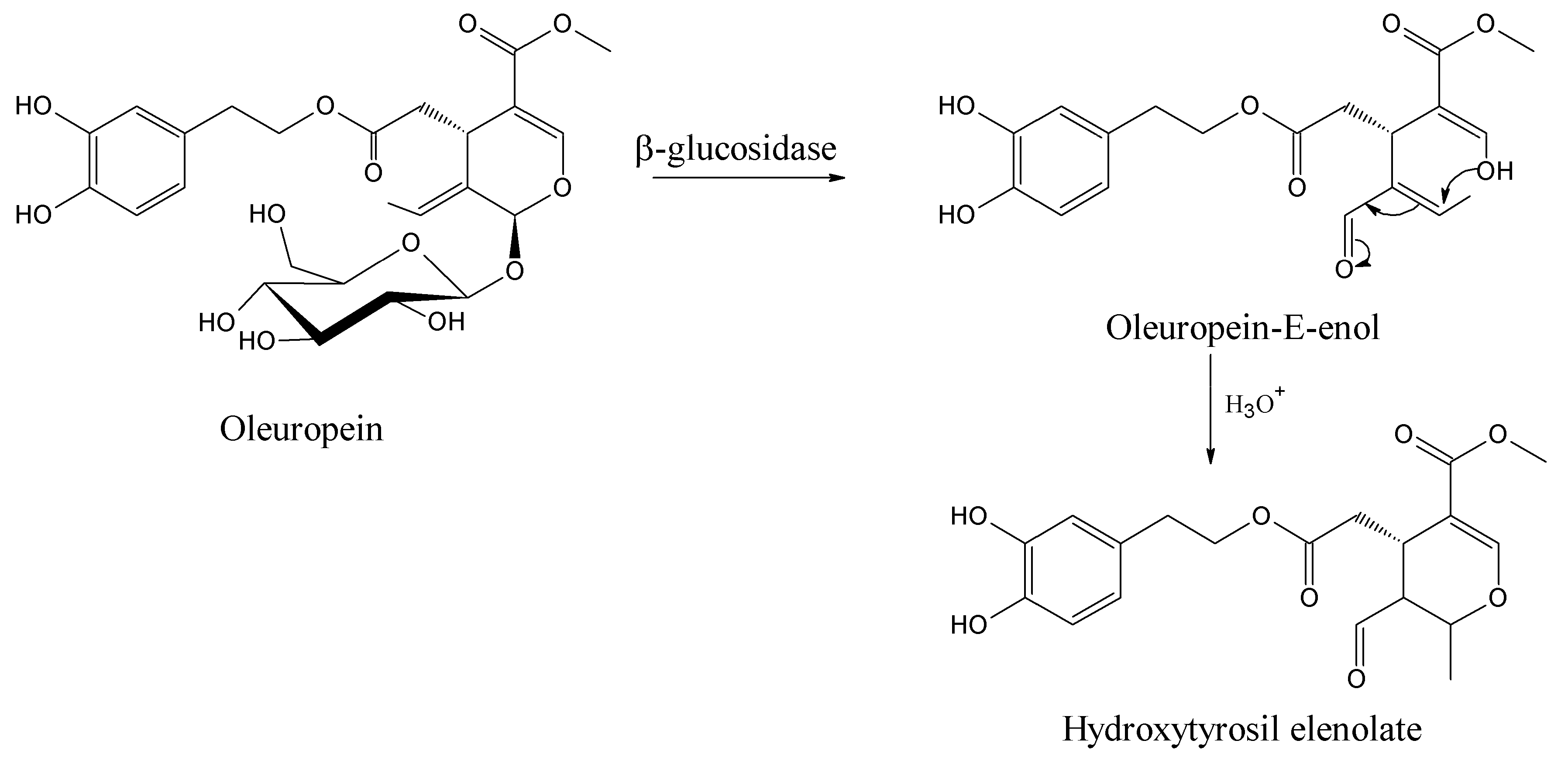 Ijms 18 00992 g007