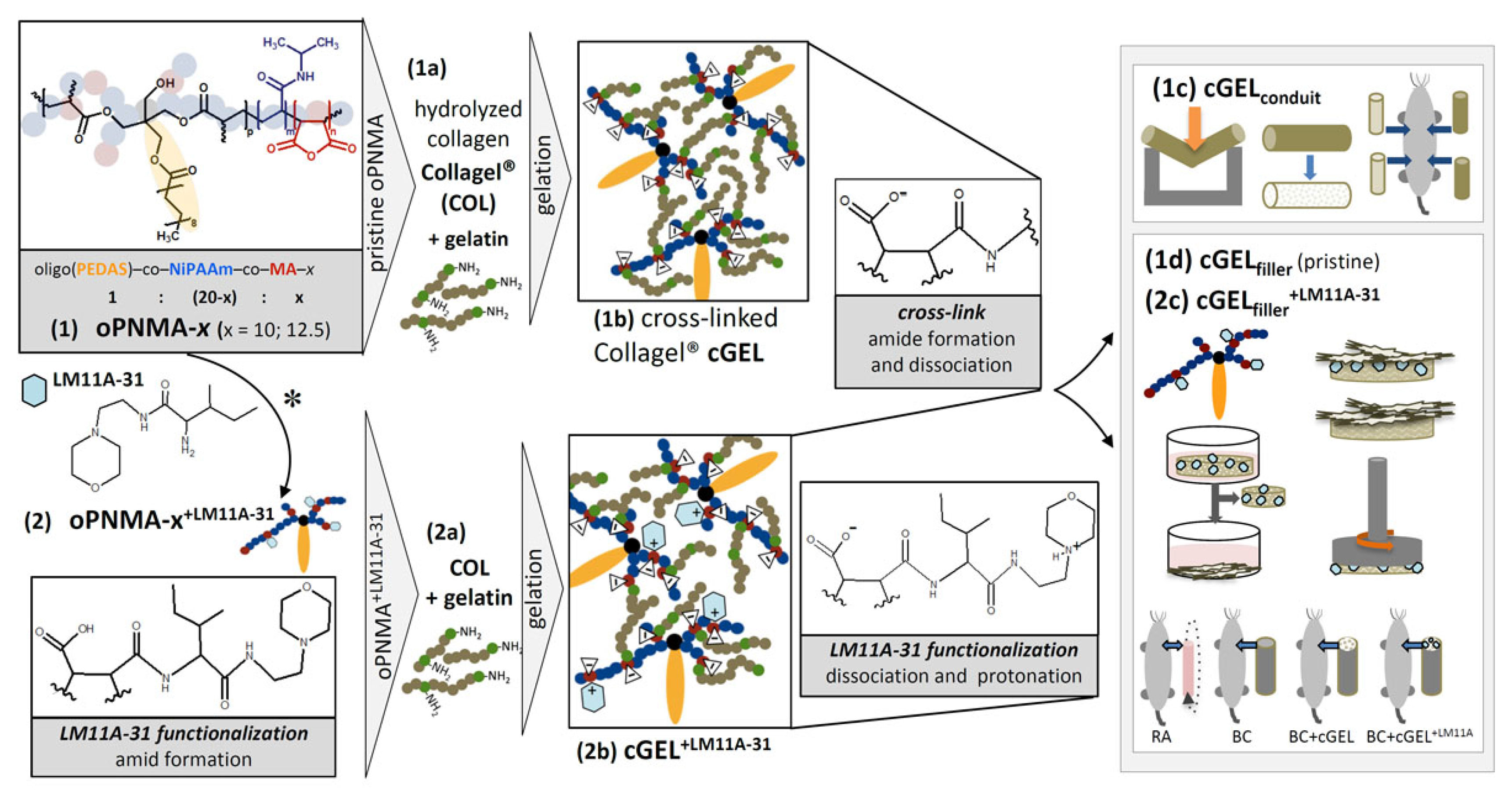 Ijms 18 01104 sch001