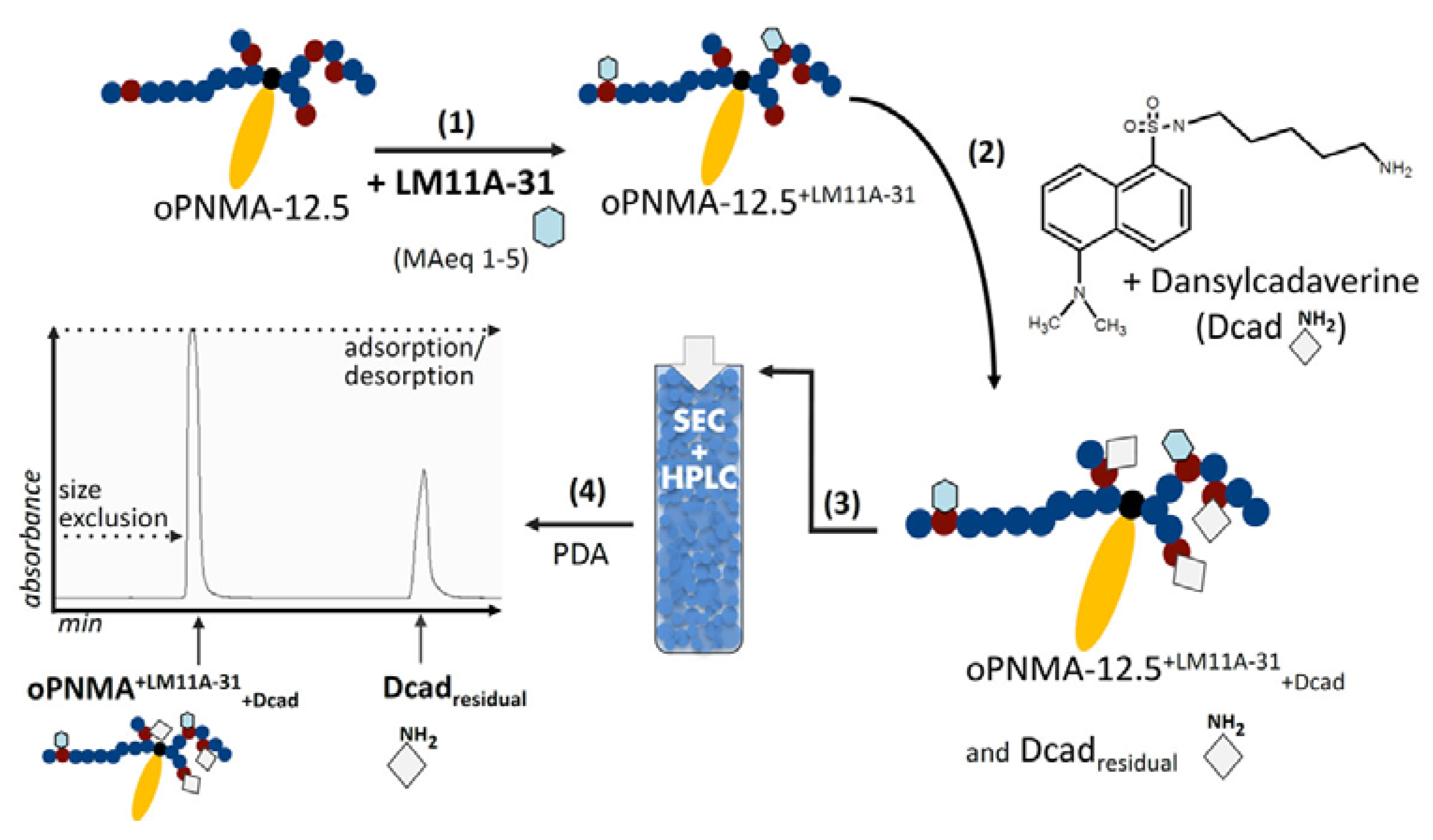 Ijms 18 01104 sch002