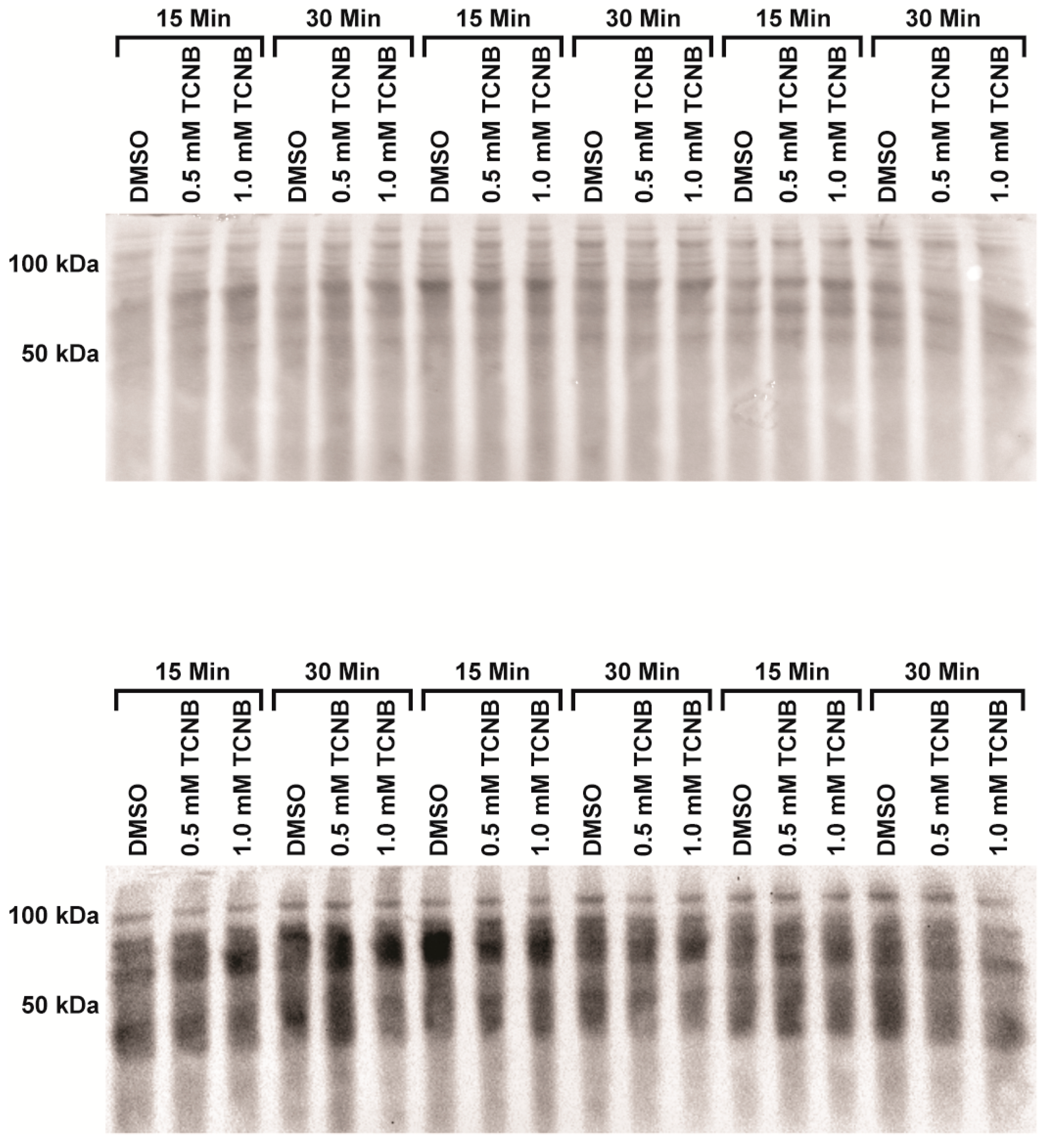 Ijms 18 01165 g007 Ijms 18 01165 g007