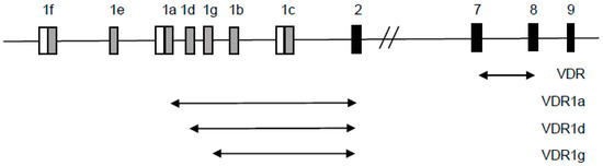 Ijms 18 01323 g008 550