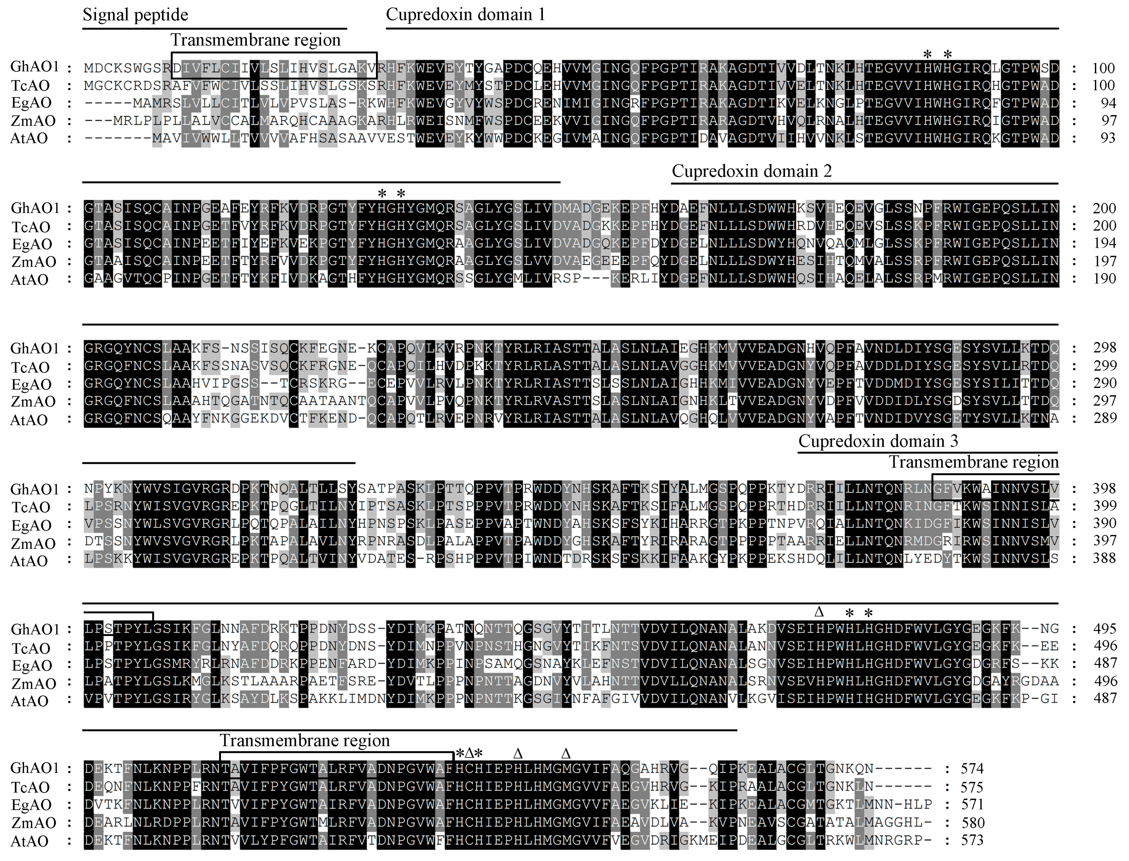 Ijms 18 01346 g001