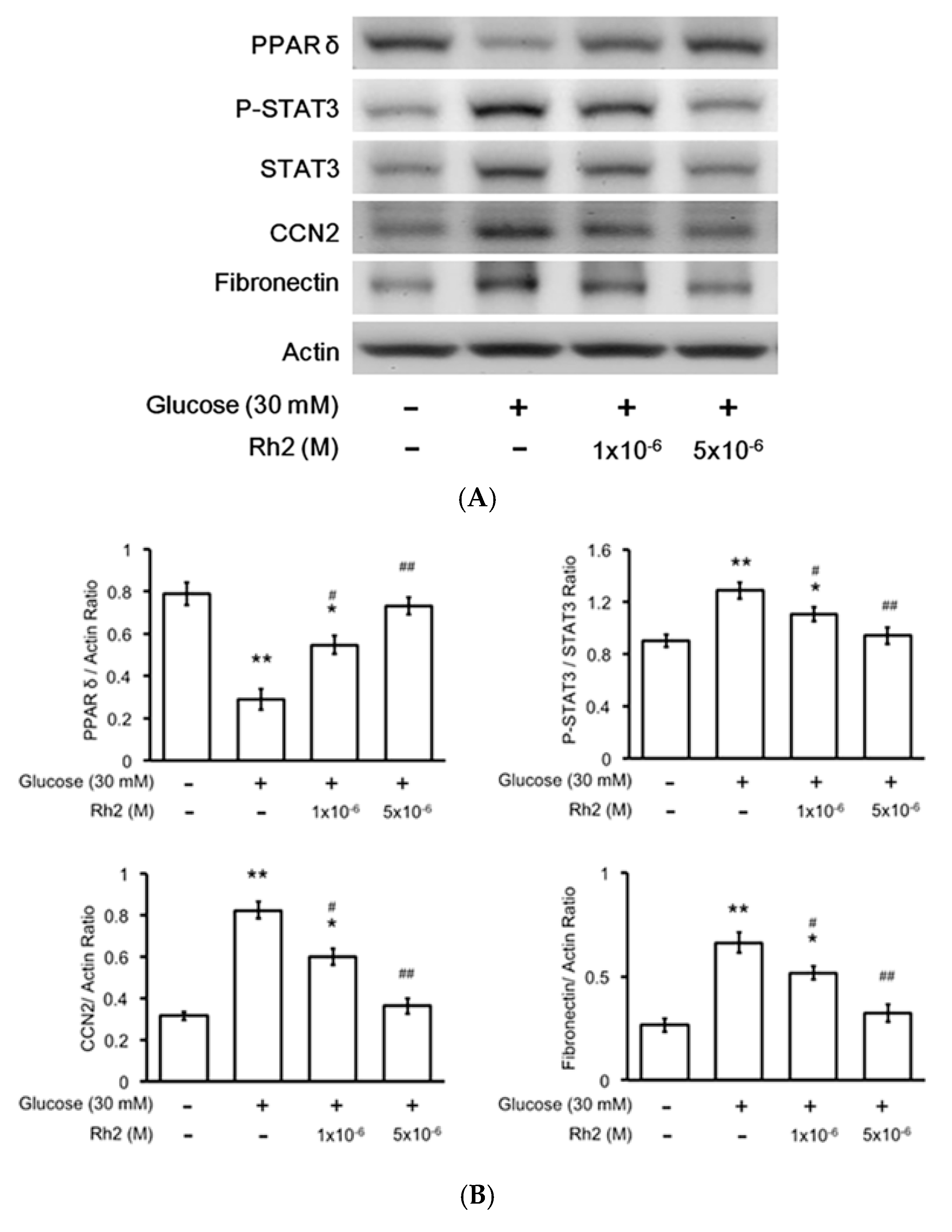 Ijms 18 01364 g003a