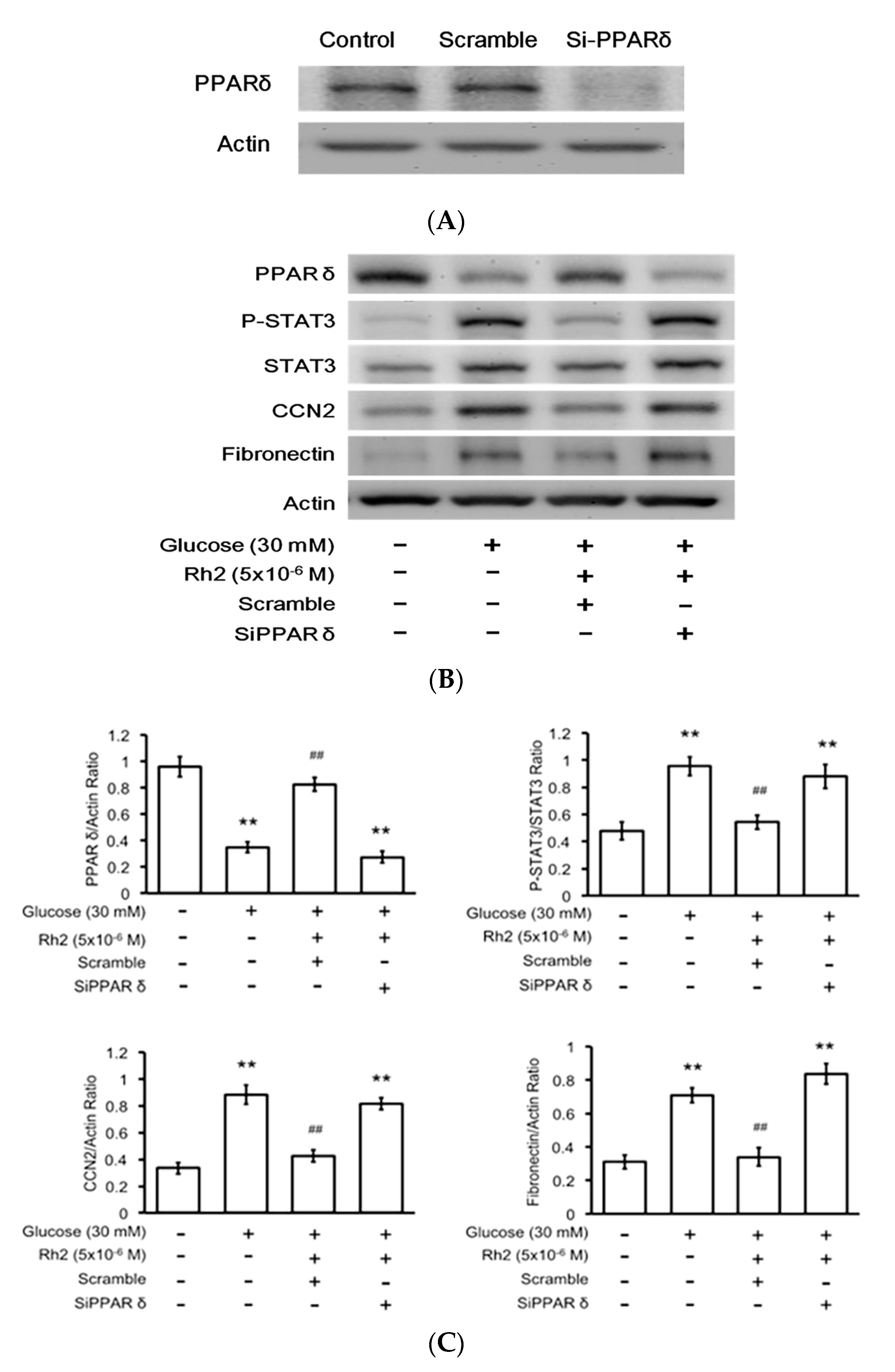 Ijms 18 01364 g005a