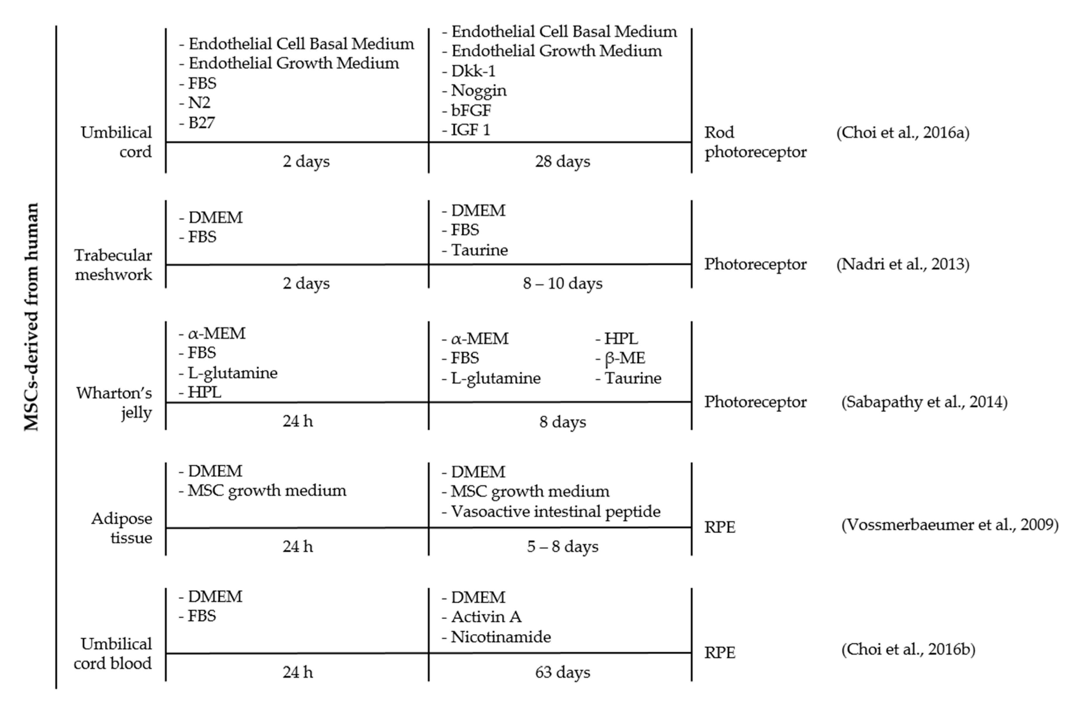 Ijms 18 01406 g004