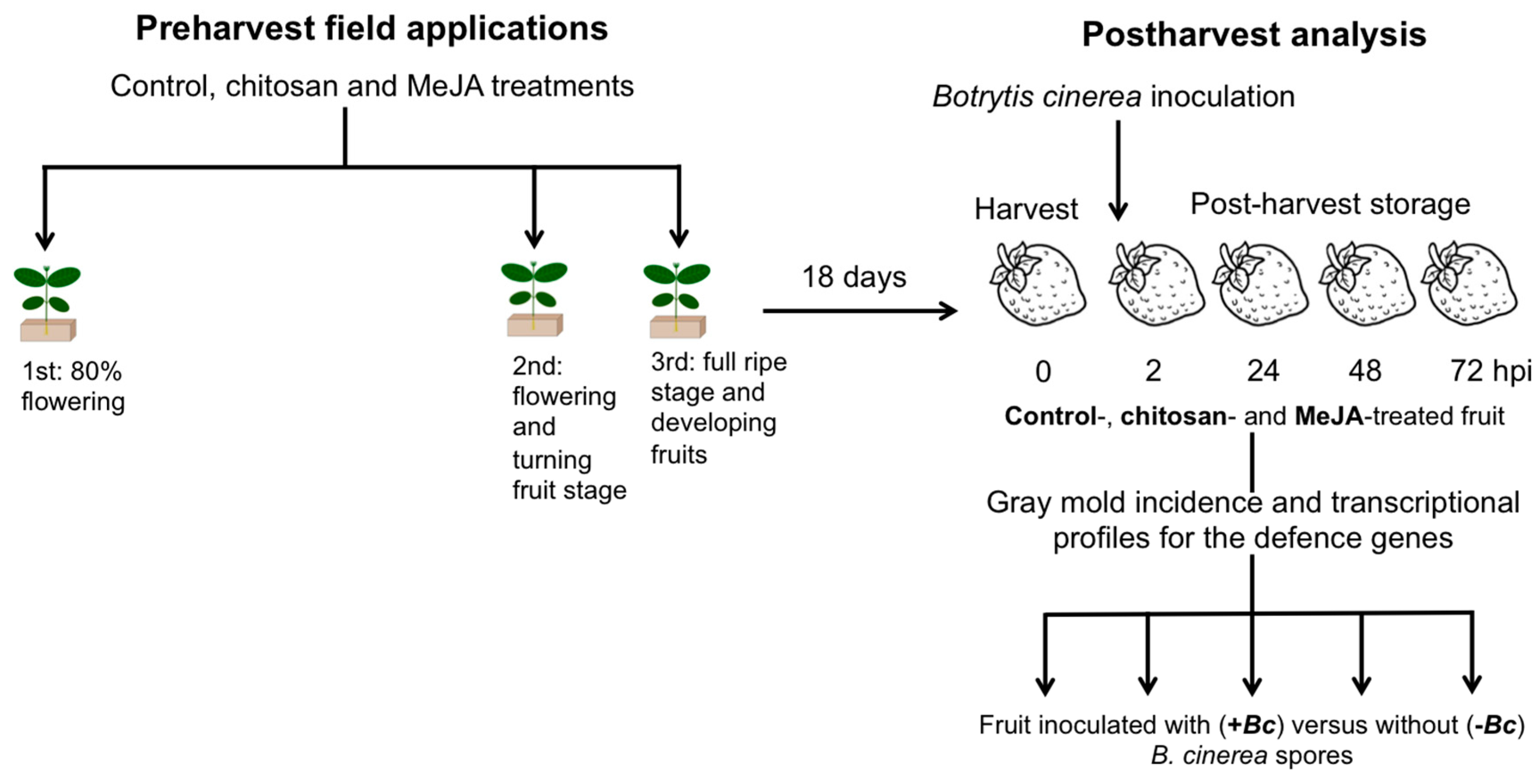 Ijms 18 01420 sch001