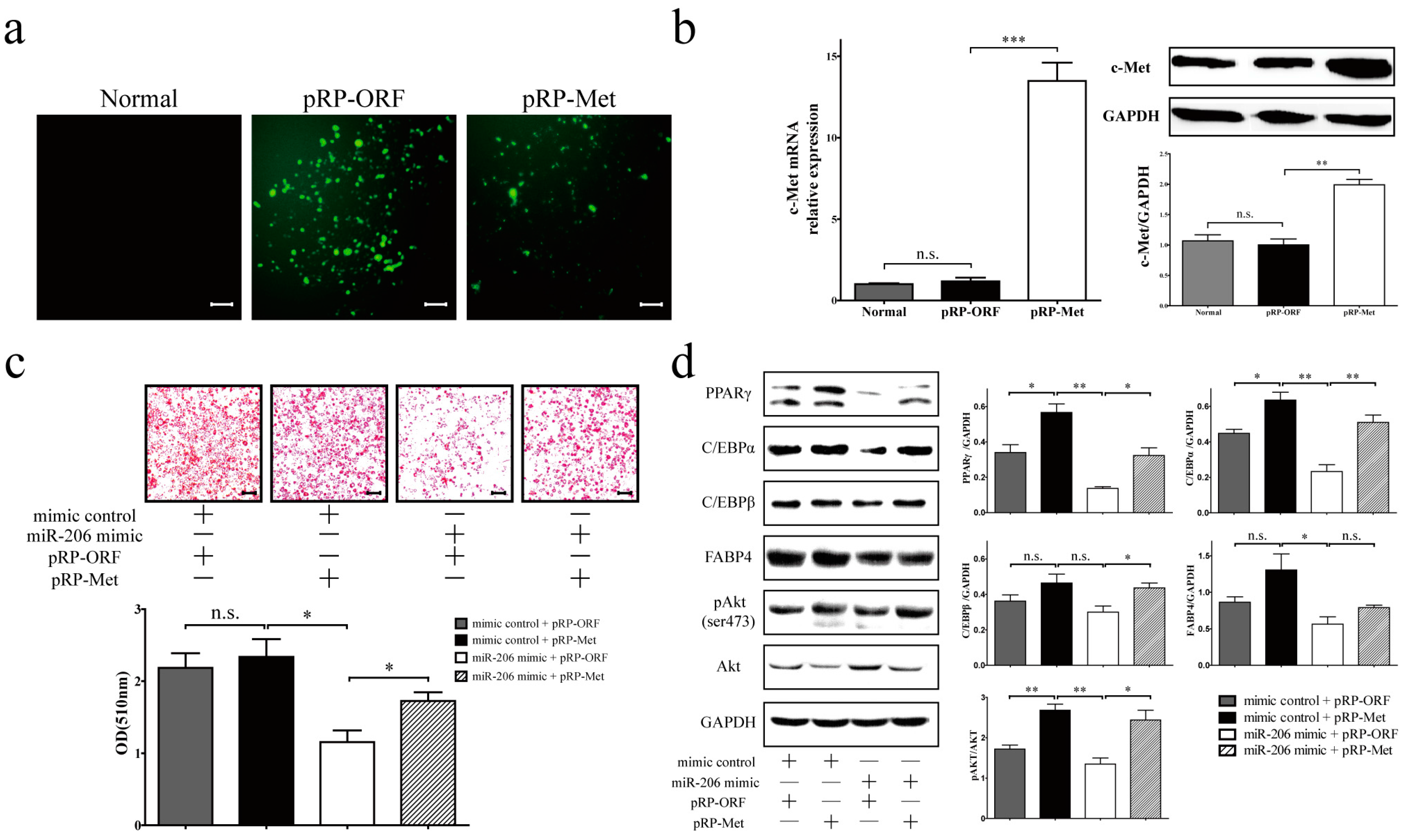 Ijms 18 01510 g004