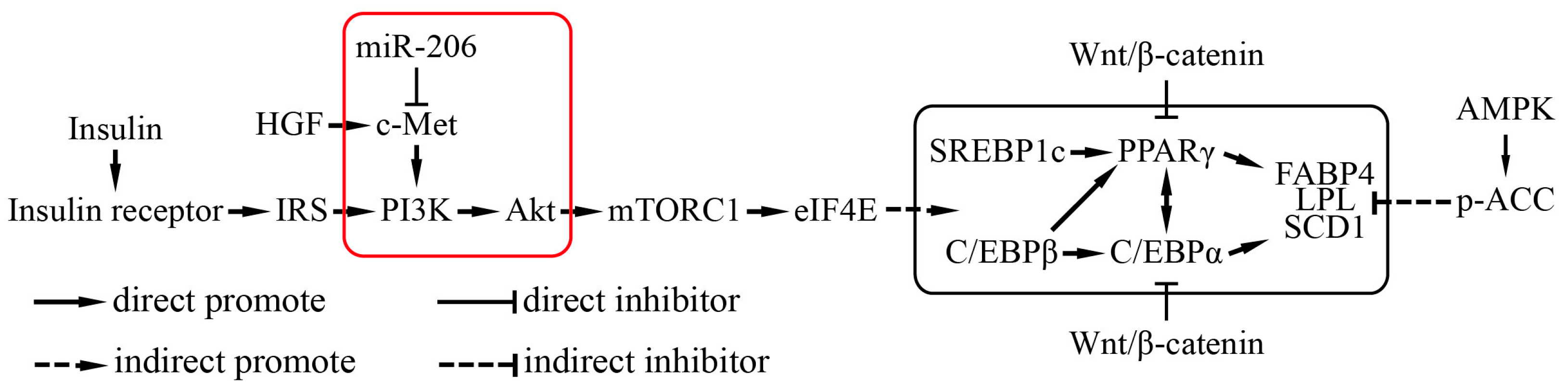 Ijms 18 01510 g005