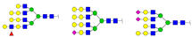 Ijms 18 01528 i016