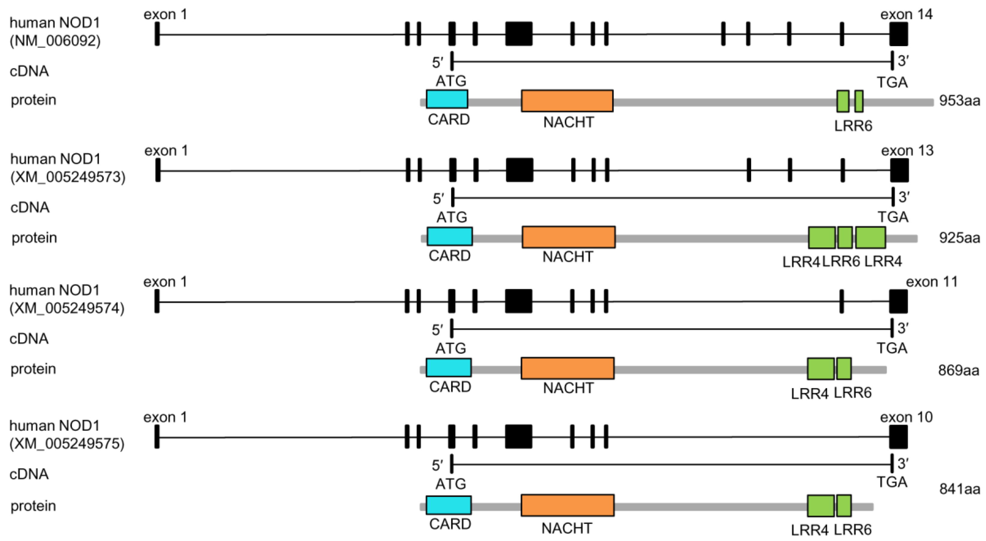 Ijms 18 01530 g001