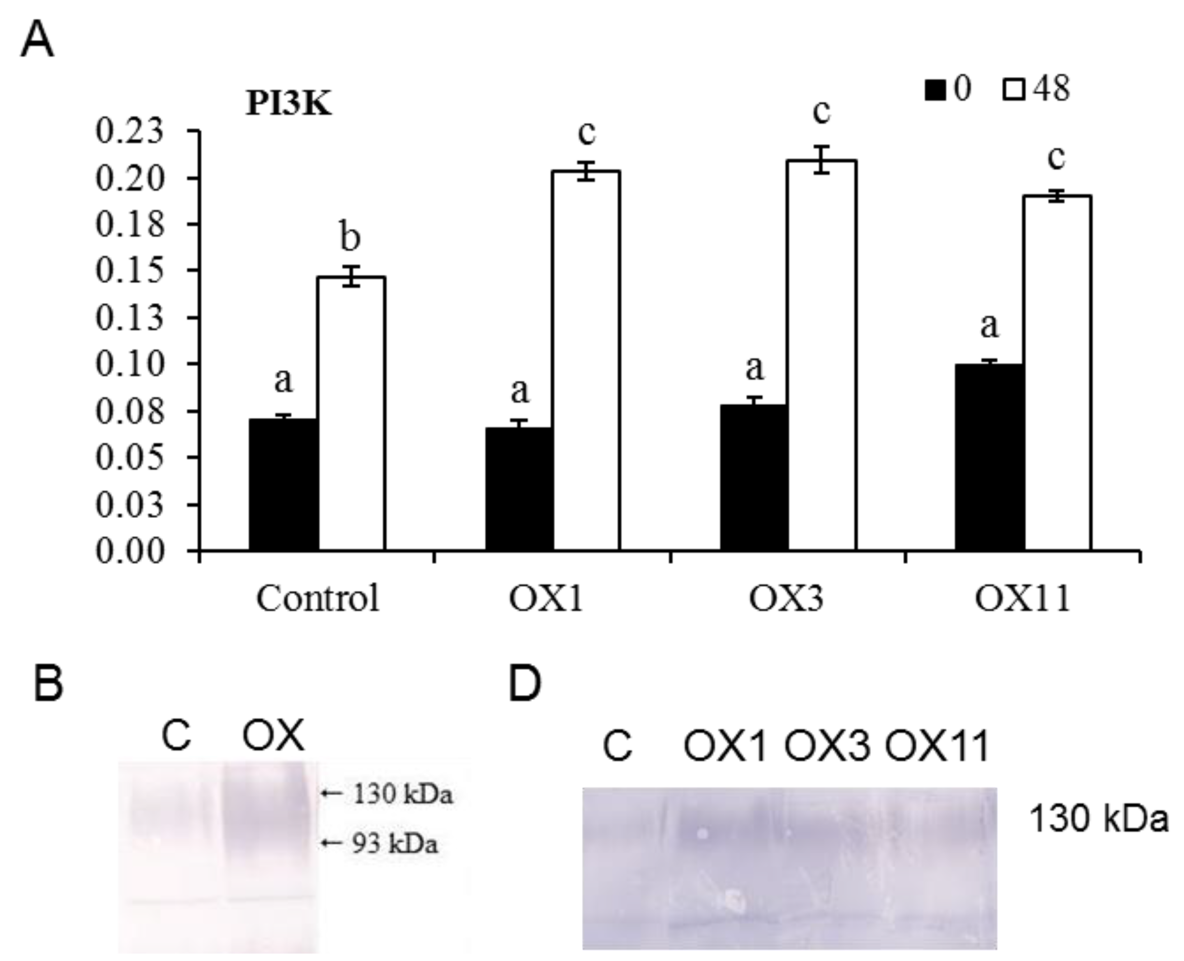 Ijms 18 01533 g003 Ijms 18 01533 g003
