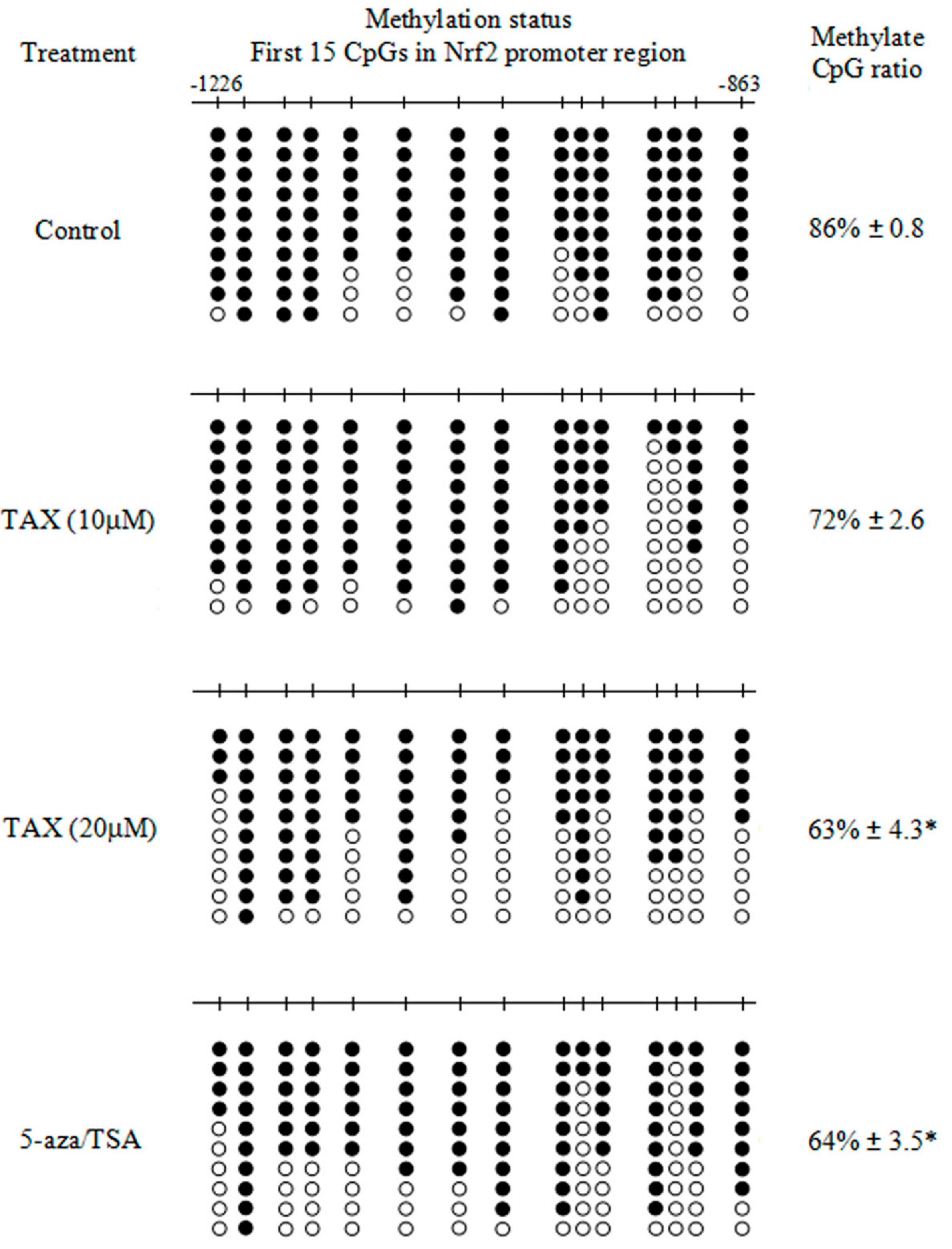 Ijms 18 01546 g006