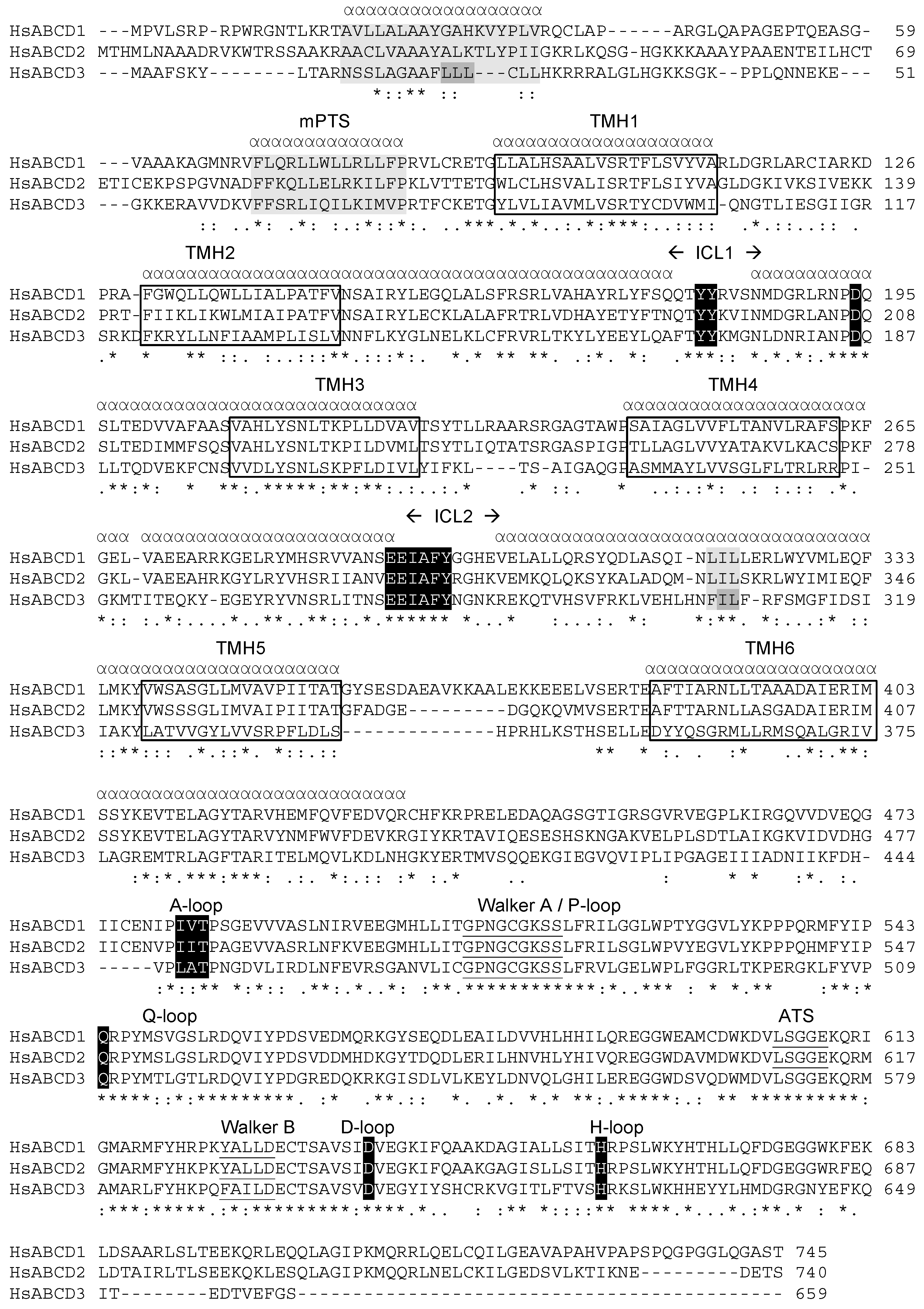Ijms 18 01593 g002