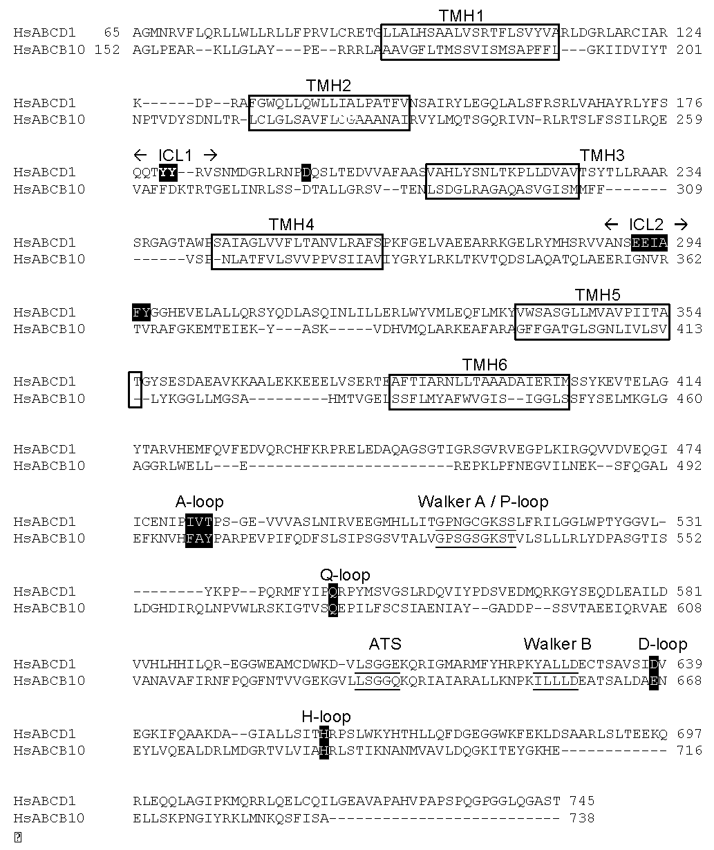 Ijms 18 01593 g005
