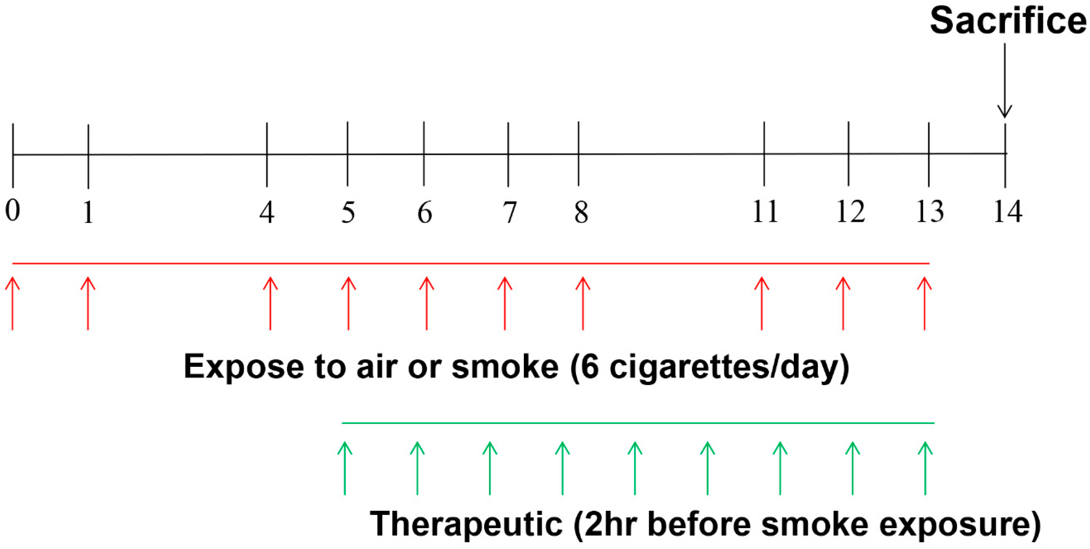 Ijms 18 01602 g002 Ijms 18 01602 g002