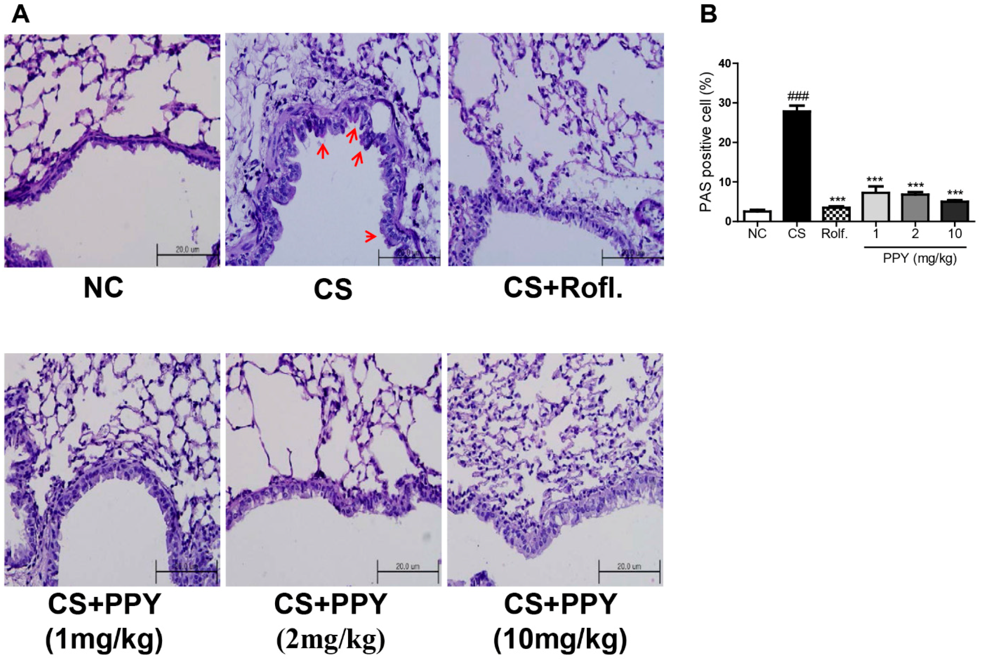 Ijms 18 01602 g006 Ijms 18 01602 g006