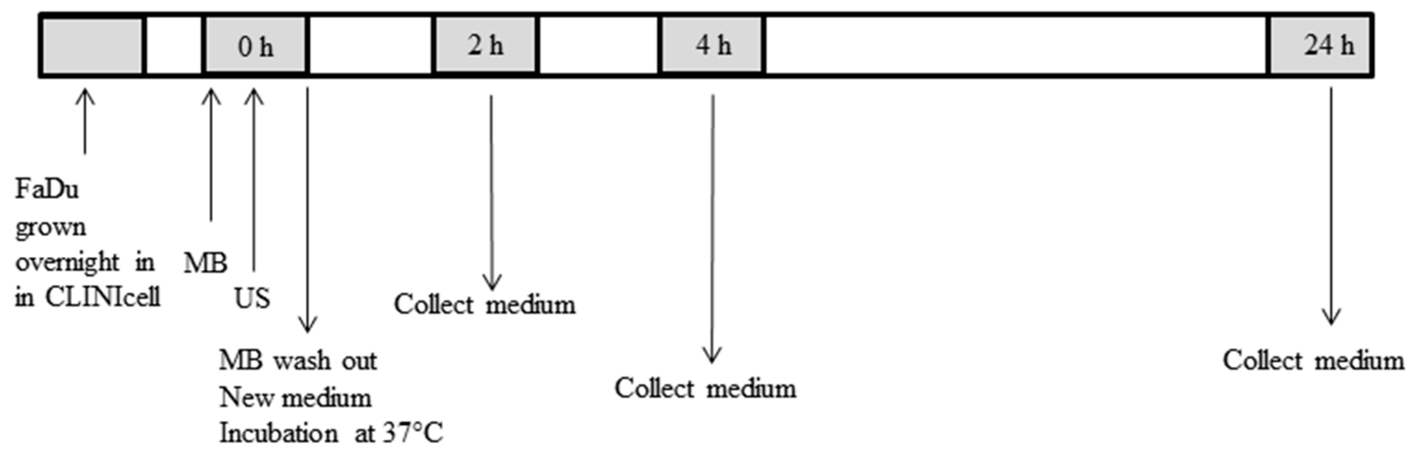 Ijms 18 01610 g006 Ijms 18 01610 g006