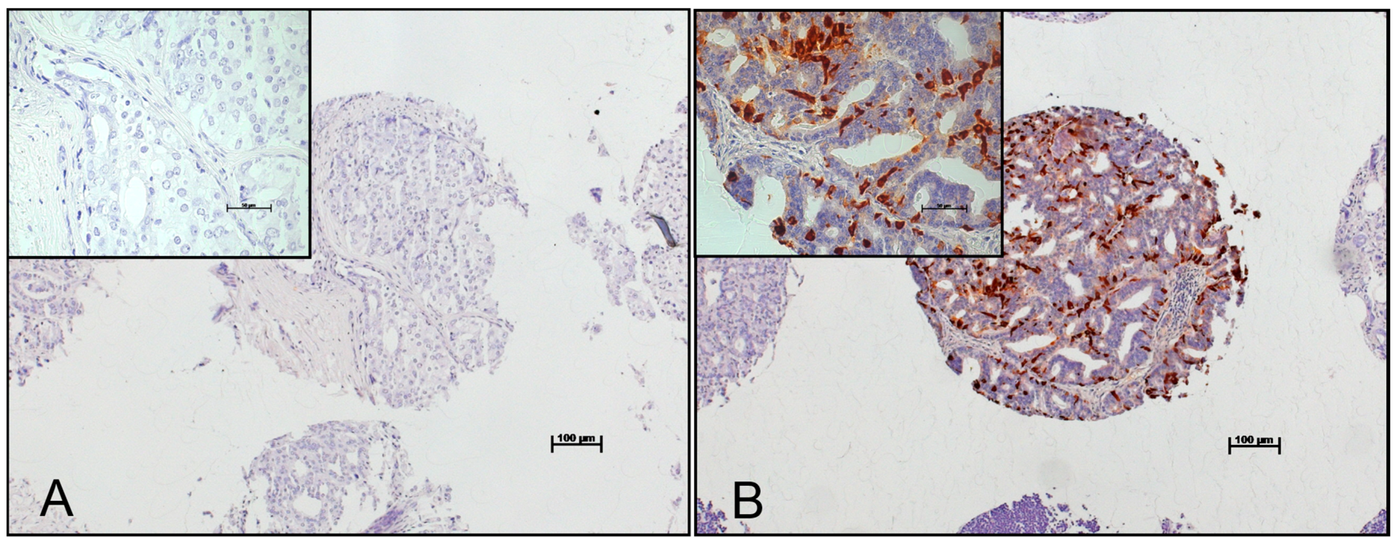 Ijms 18 01640 g003