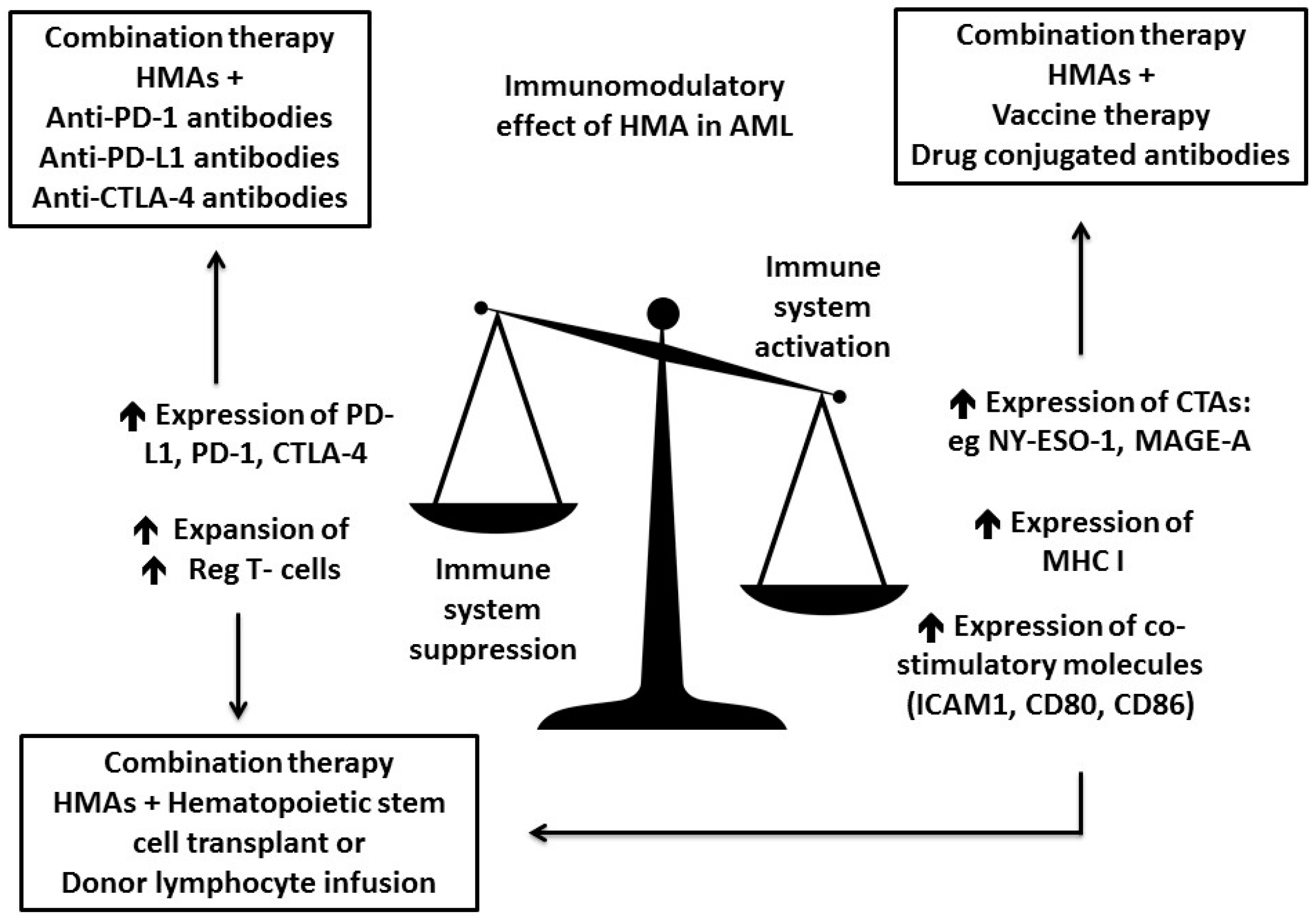 Ijms 18 01660 g001 Ijms 18 01660 g001