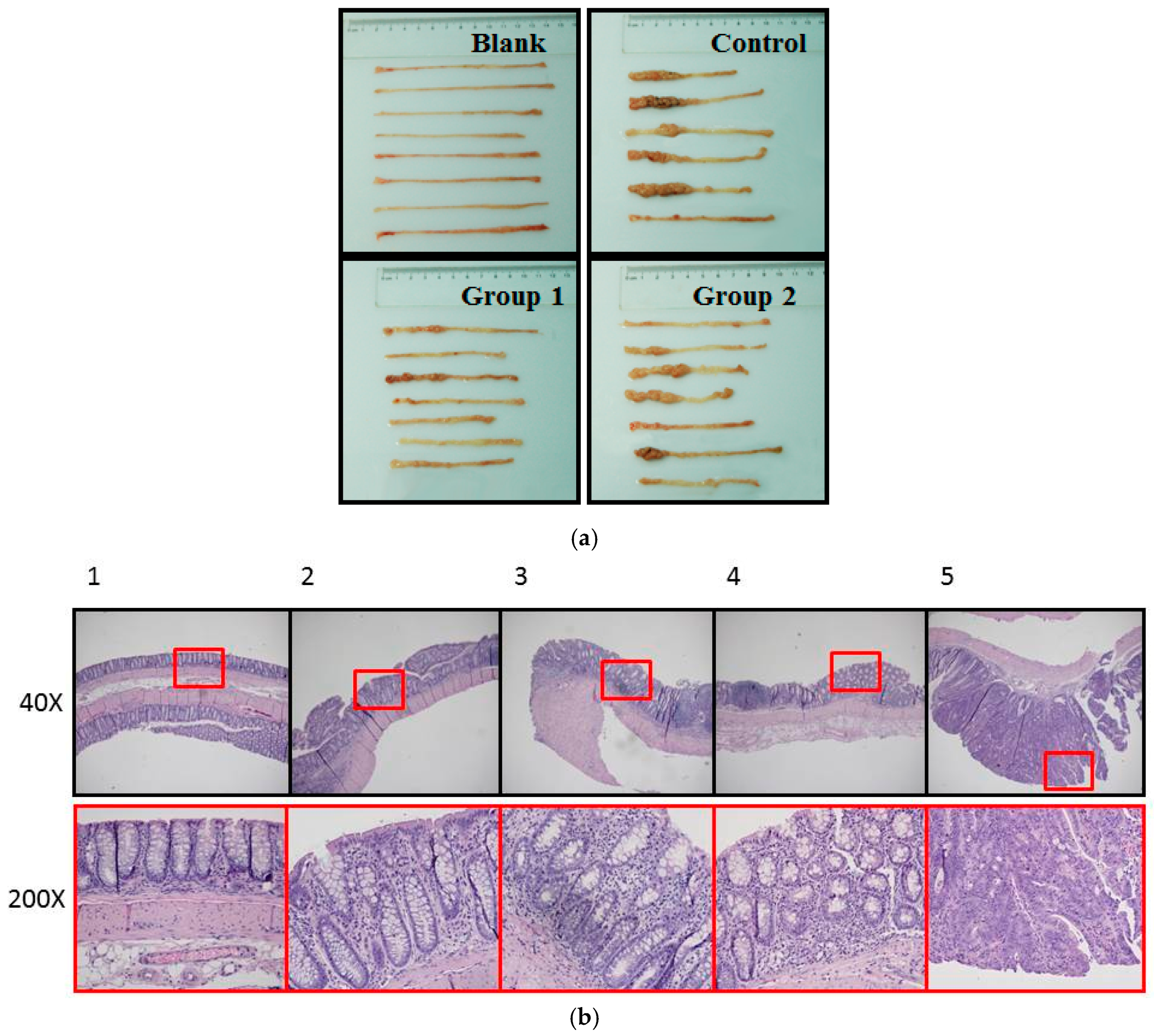 Ijms 18 01750 g002 Ijms 18 01750 g002