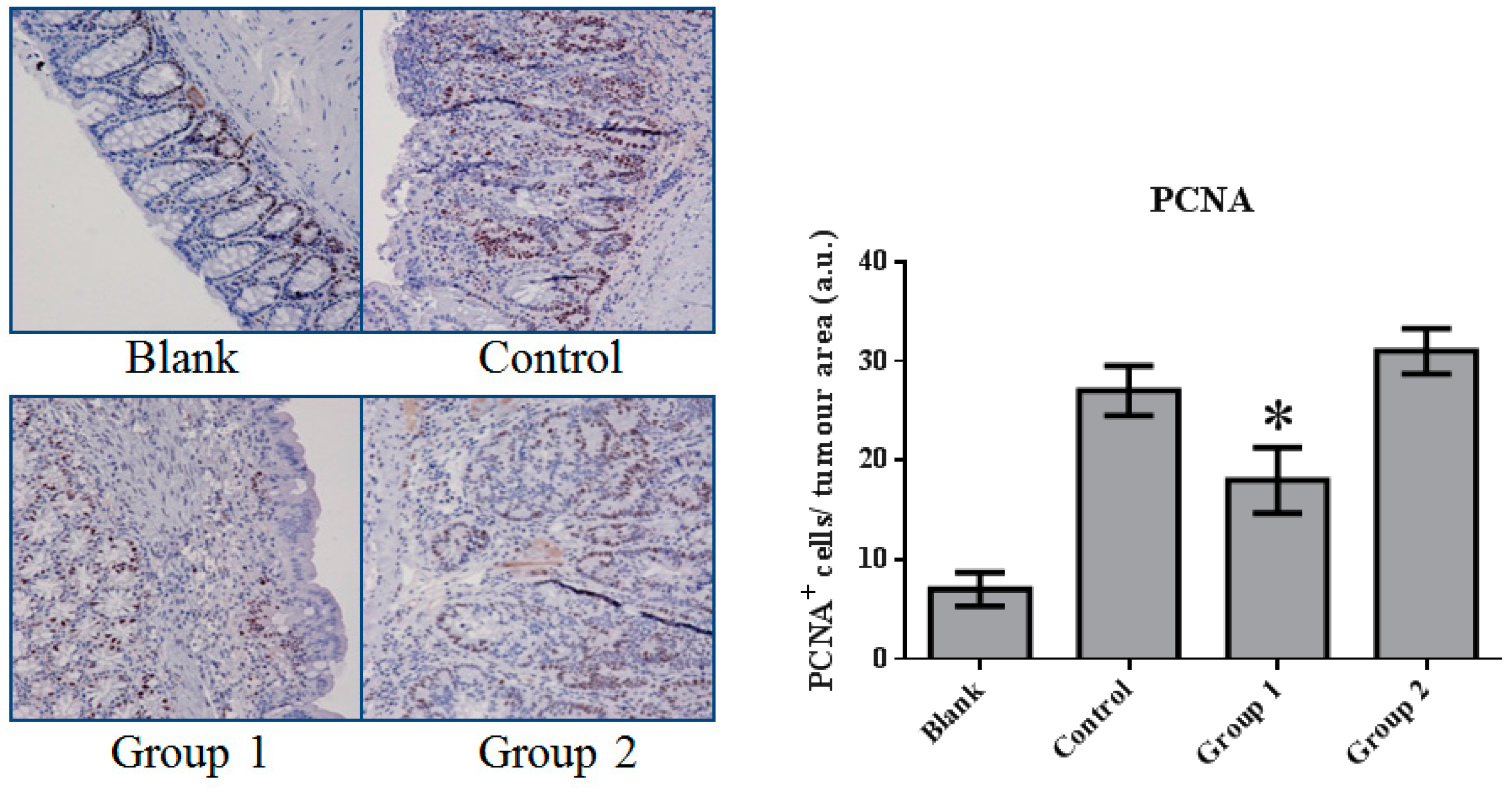 Ijms 18 01750 g005 Ijms 18 01750 g005