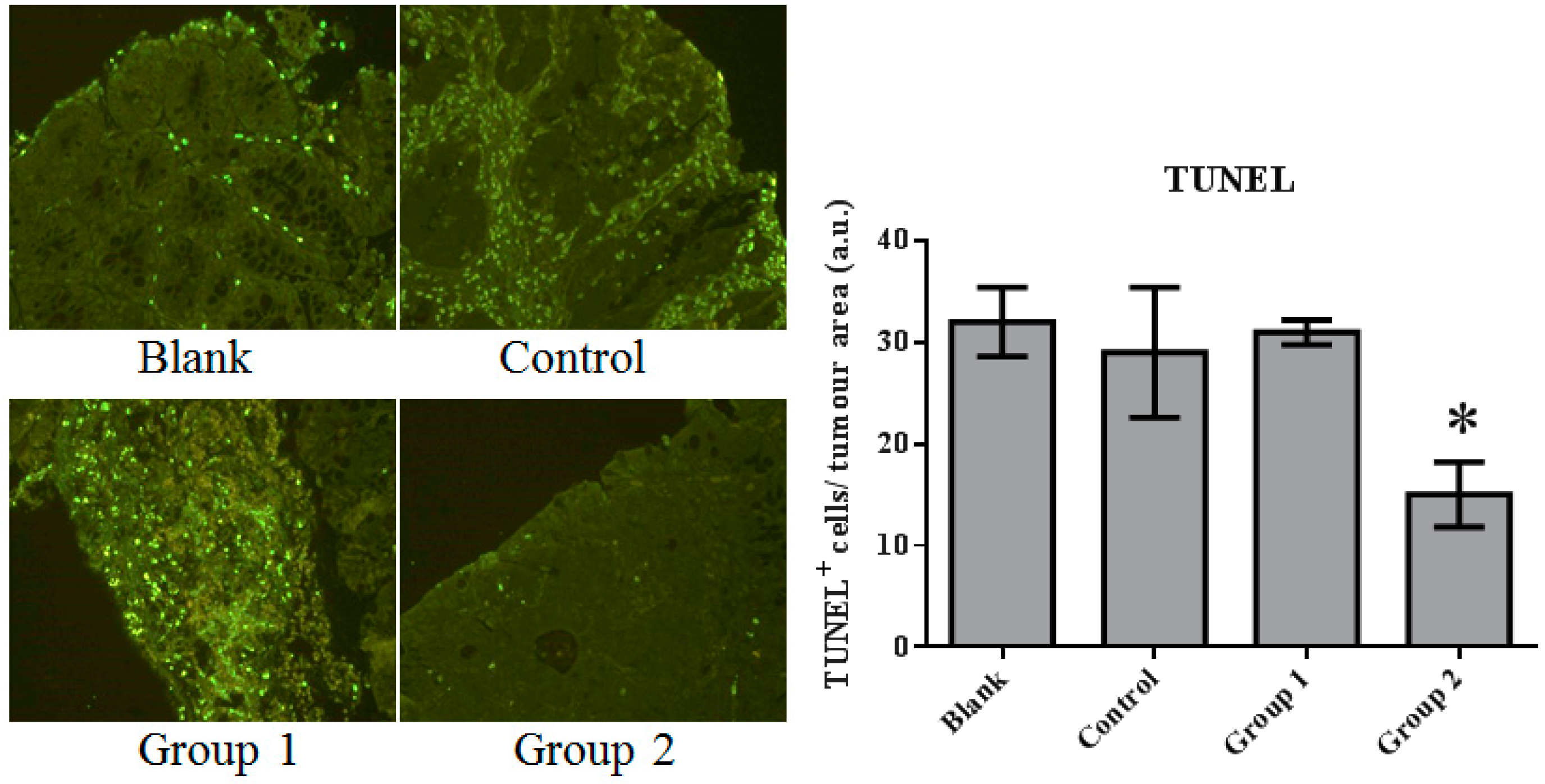 Ijms 18 01750 g006 Ijms 18 01750 g006
