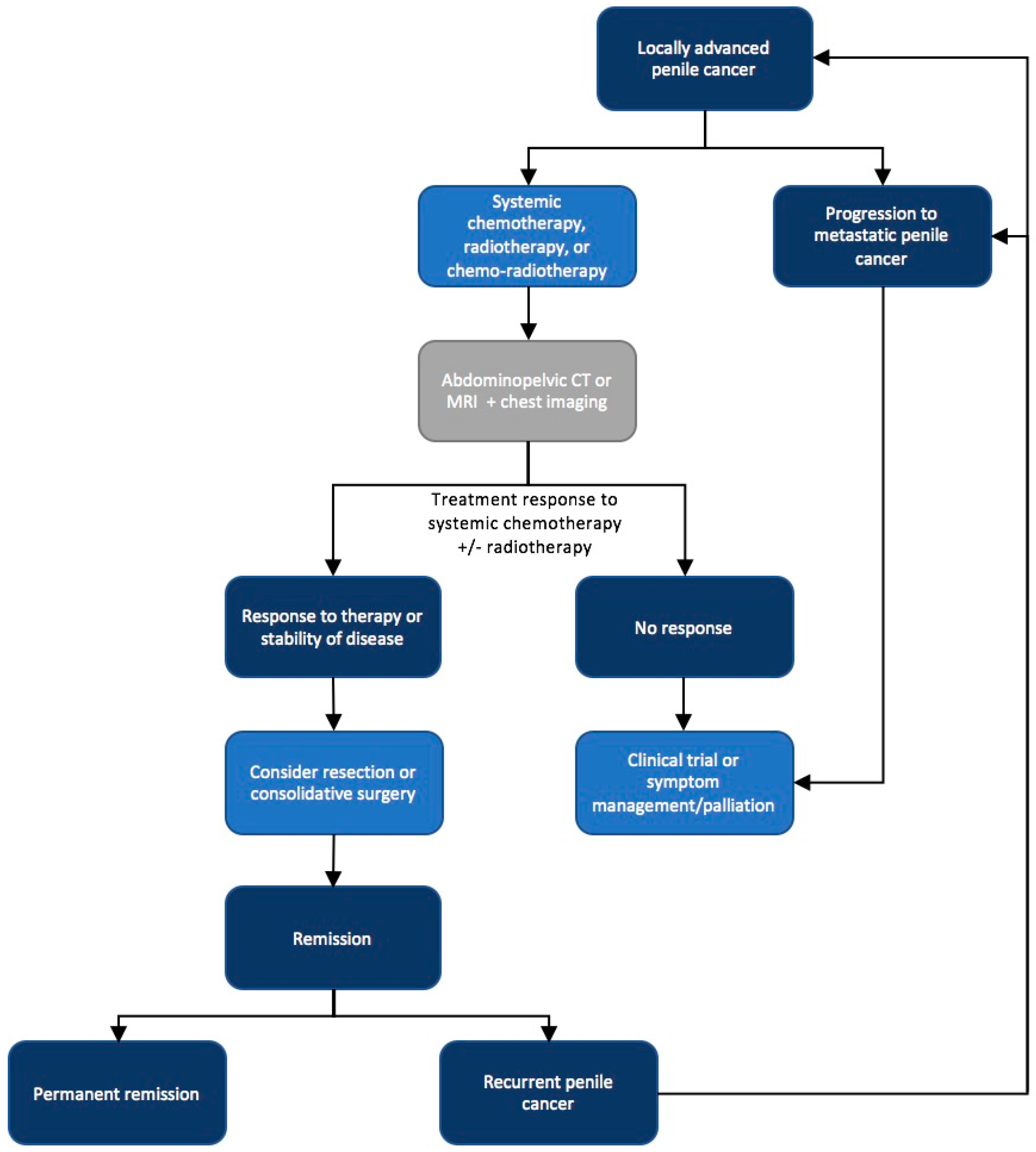 Ijms 18 01777 g001 Ijms 18 01777 g001