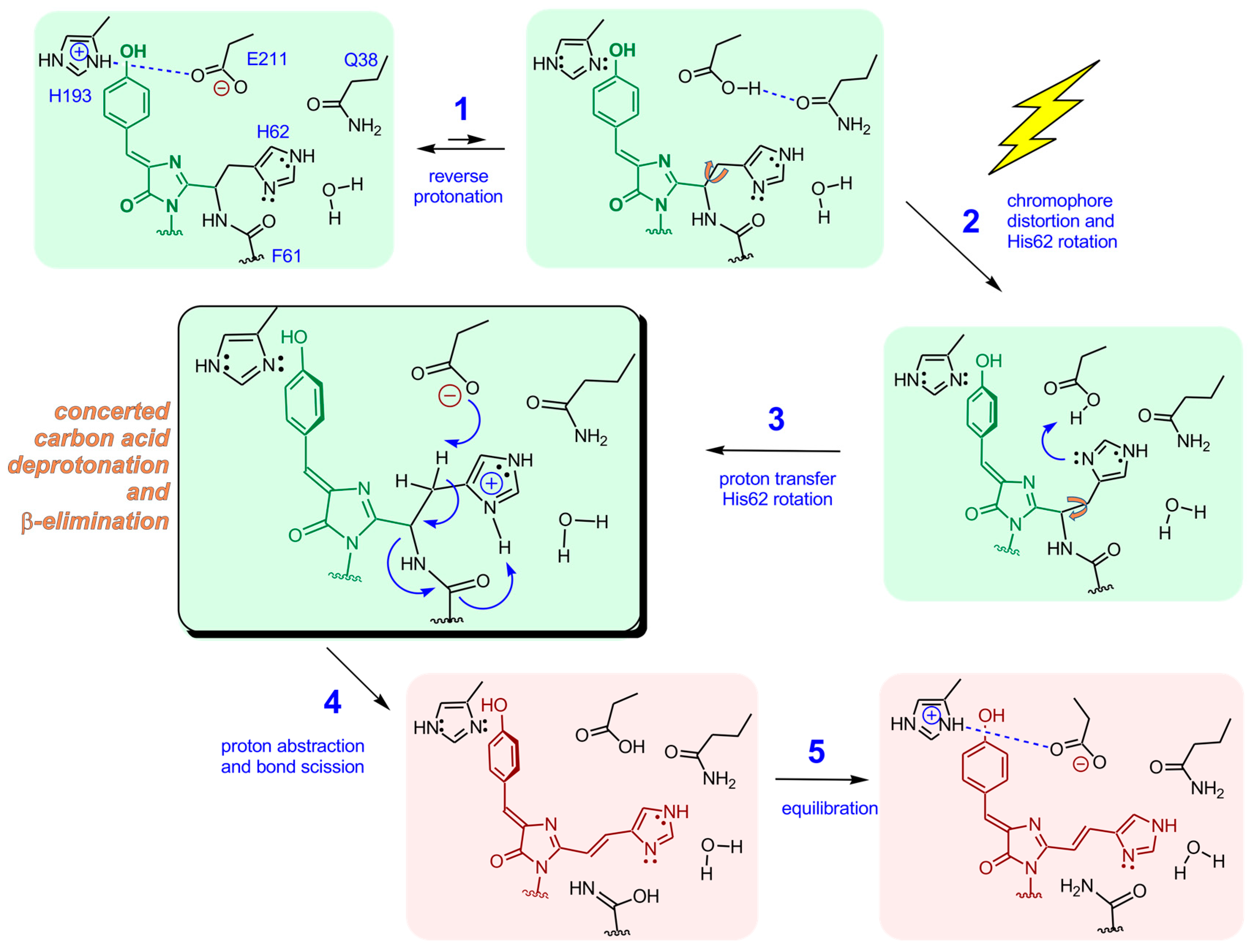 Ijms 18 01792 sch002