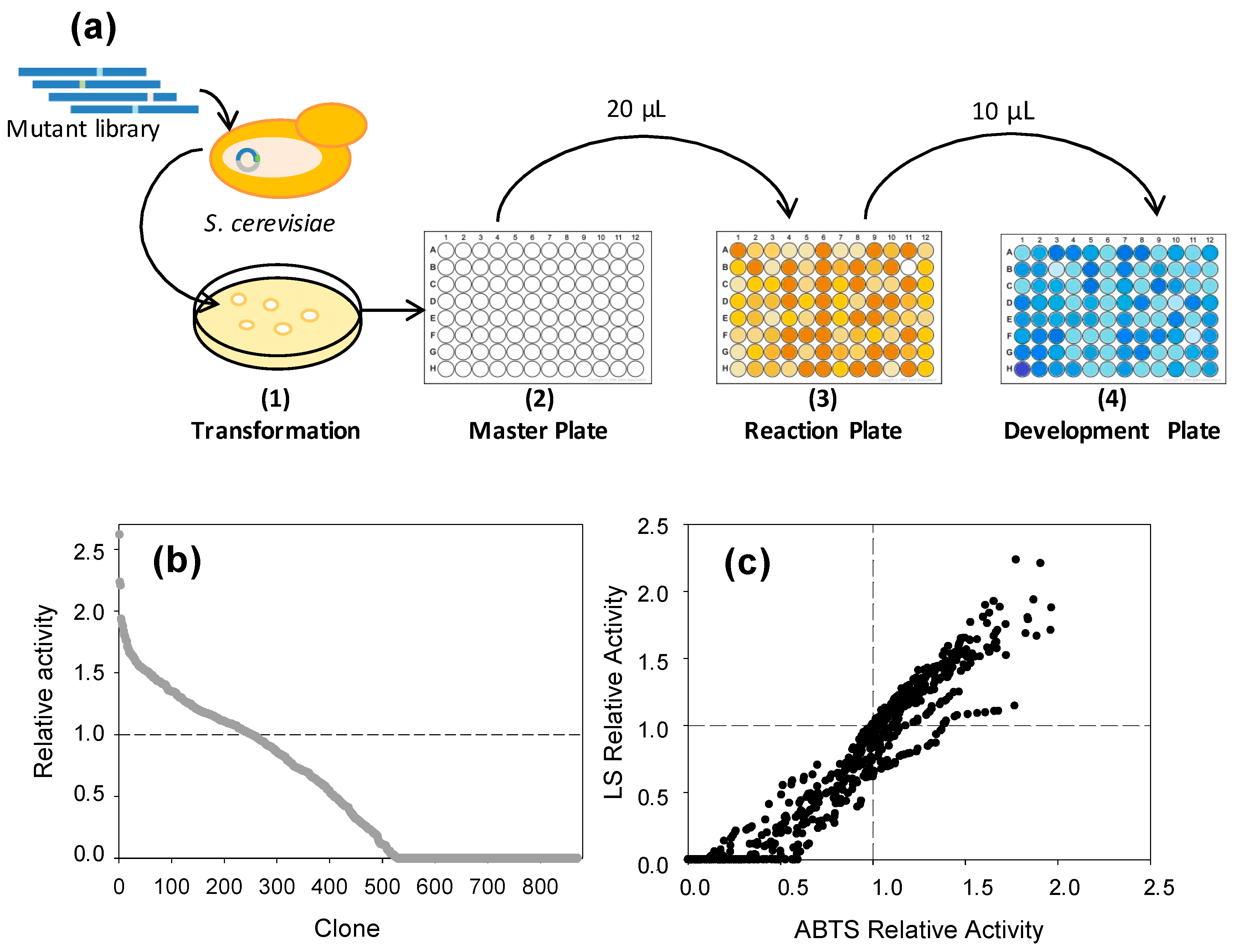 Ijms 18 01793 g007 Ijms 18 01793 g007