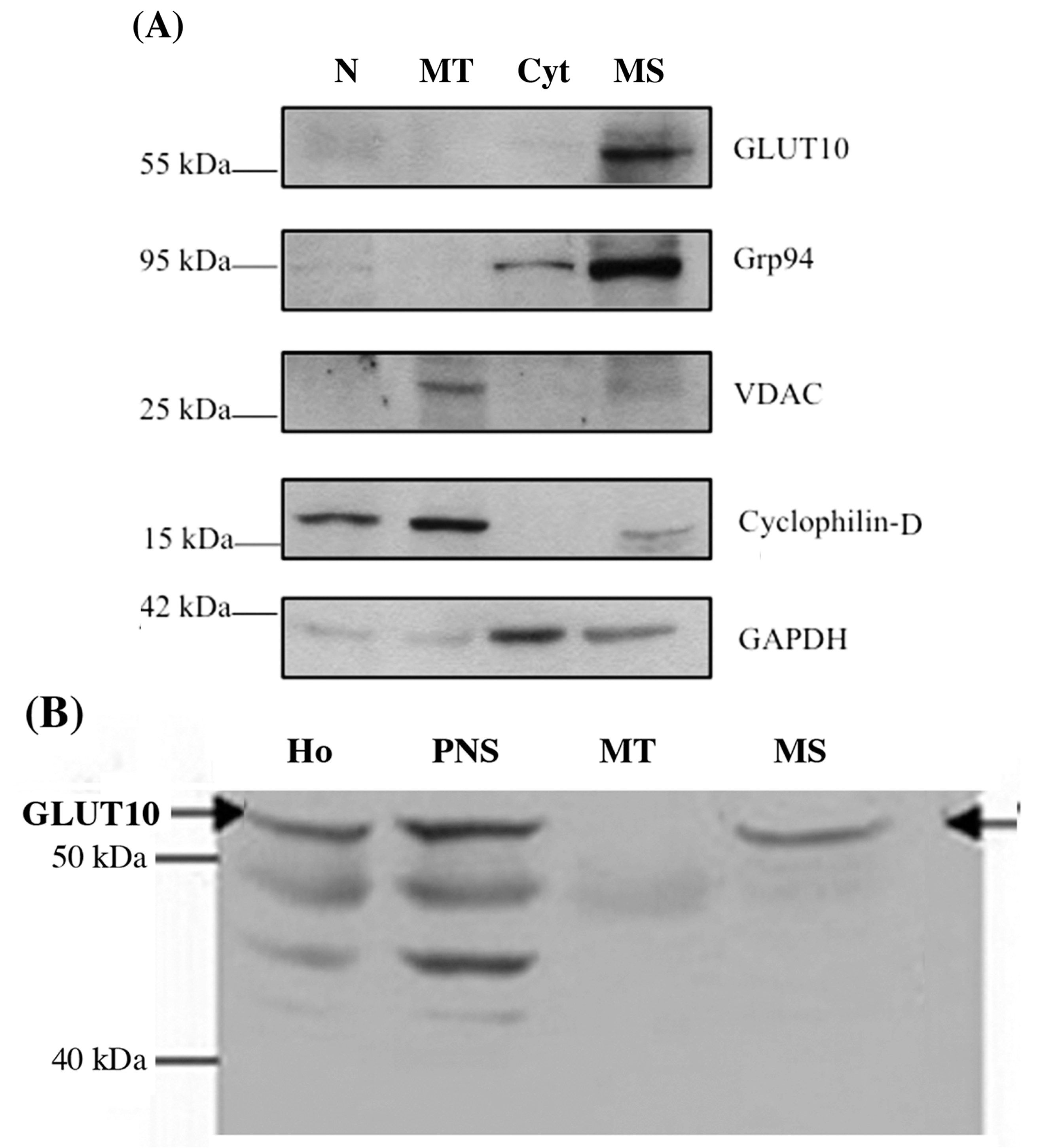 Ijms 18 01820 g001 Ijms 18 01820 g001