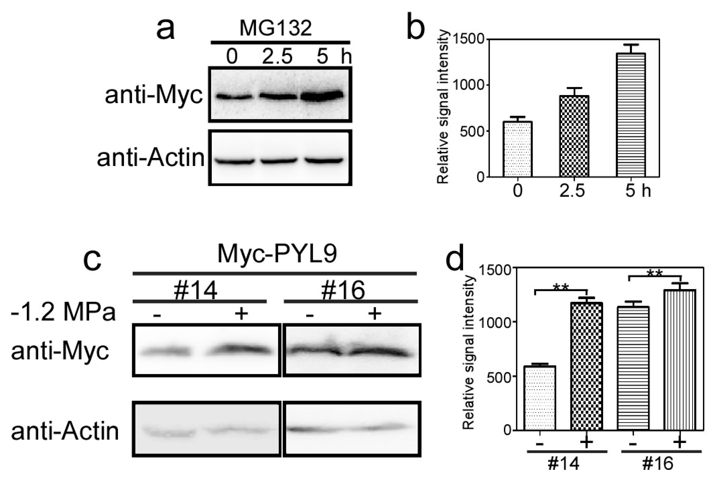 Ijms 18 01841 g002