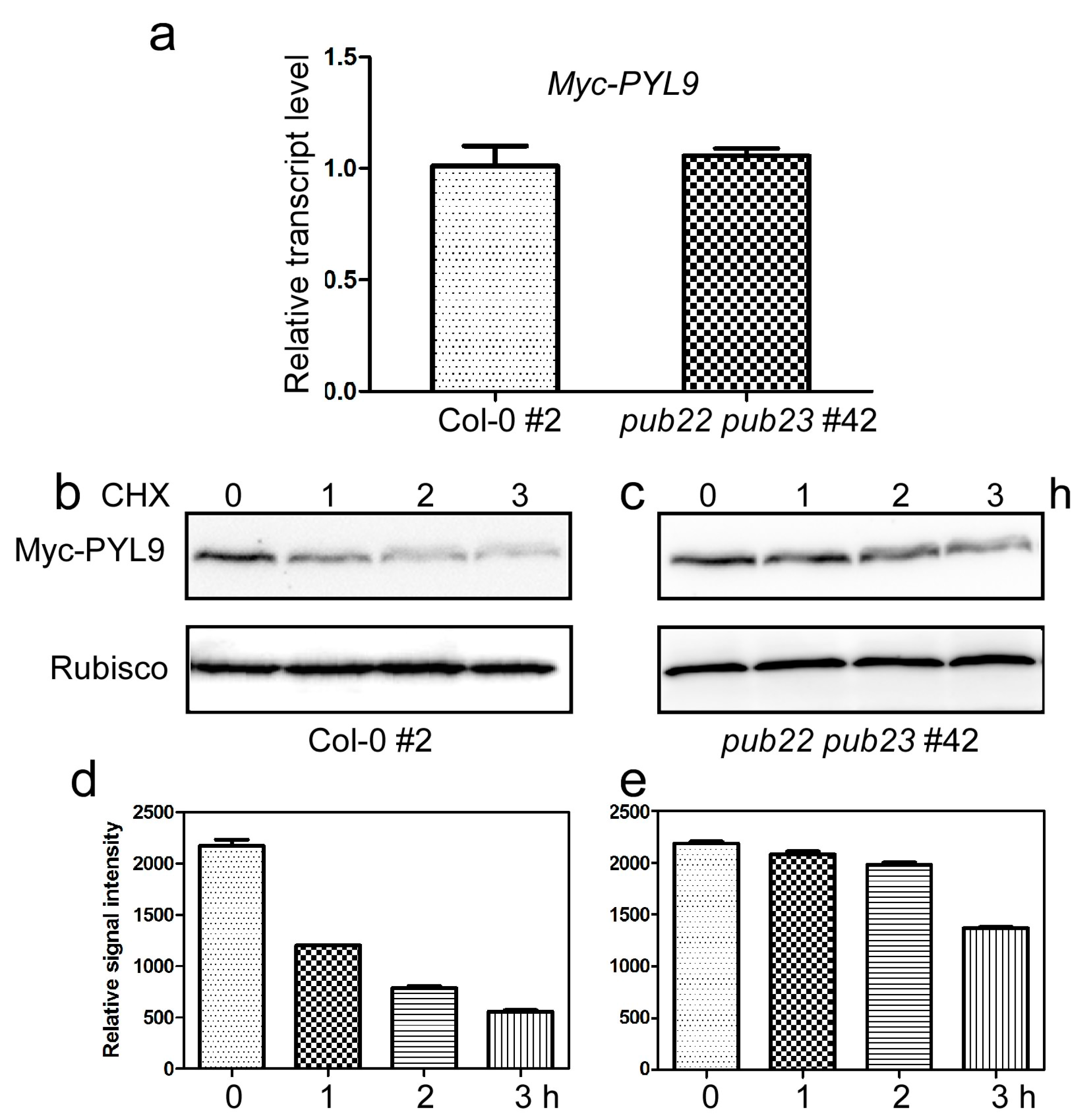 Ijms 18 01841 g005