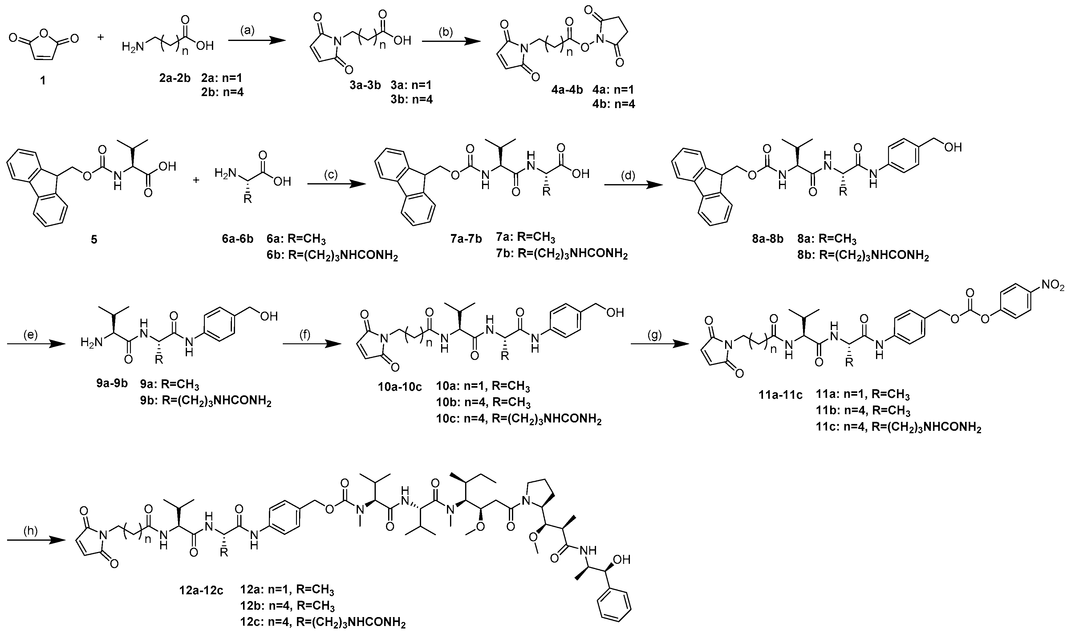 Ijms 18 01860 sch001