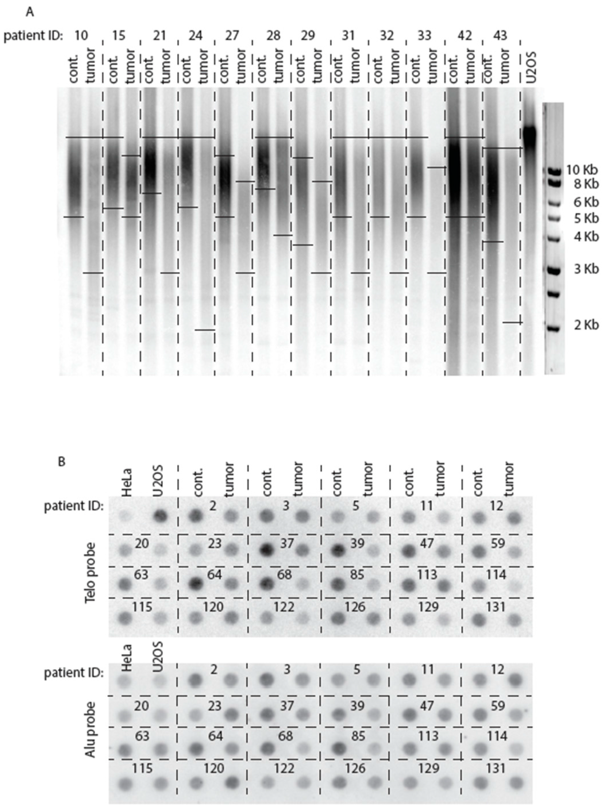 Ijms 18 01871 g001 Ijms 18 01871 g001