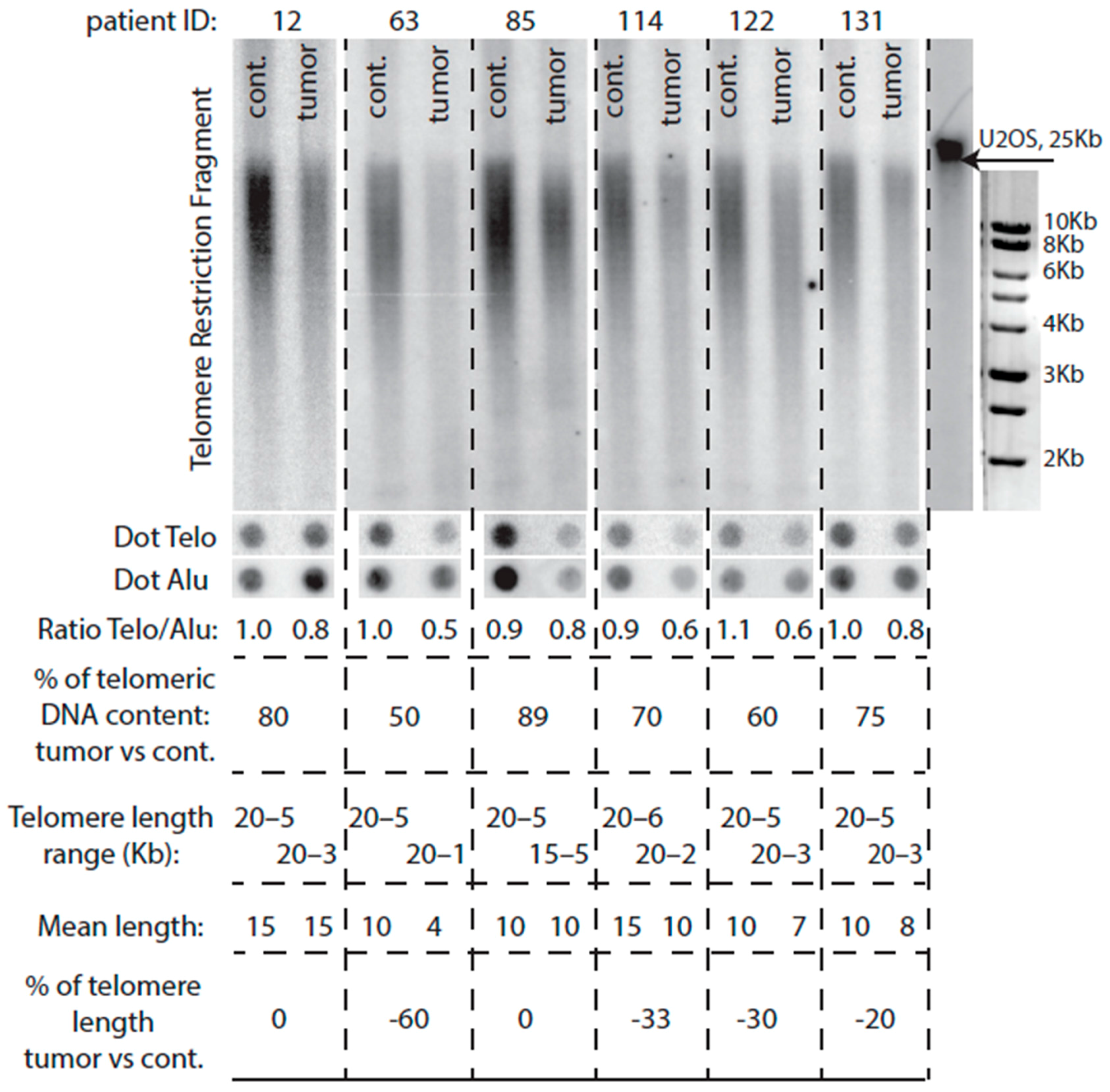 Ijms 18 01871 g002 Ijms 18 01871 g002