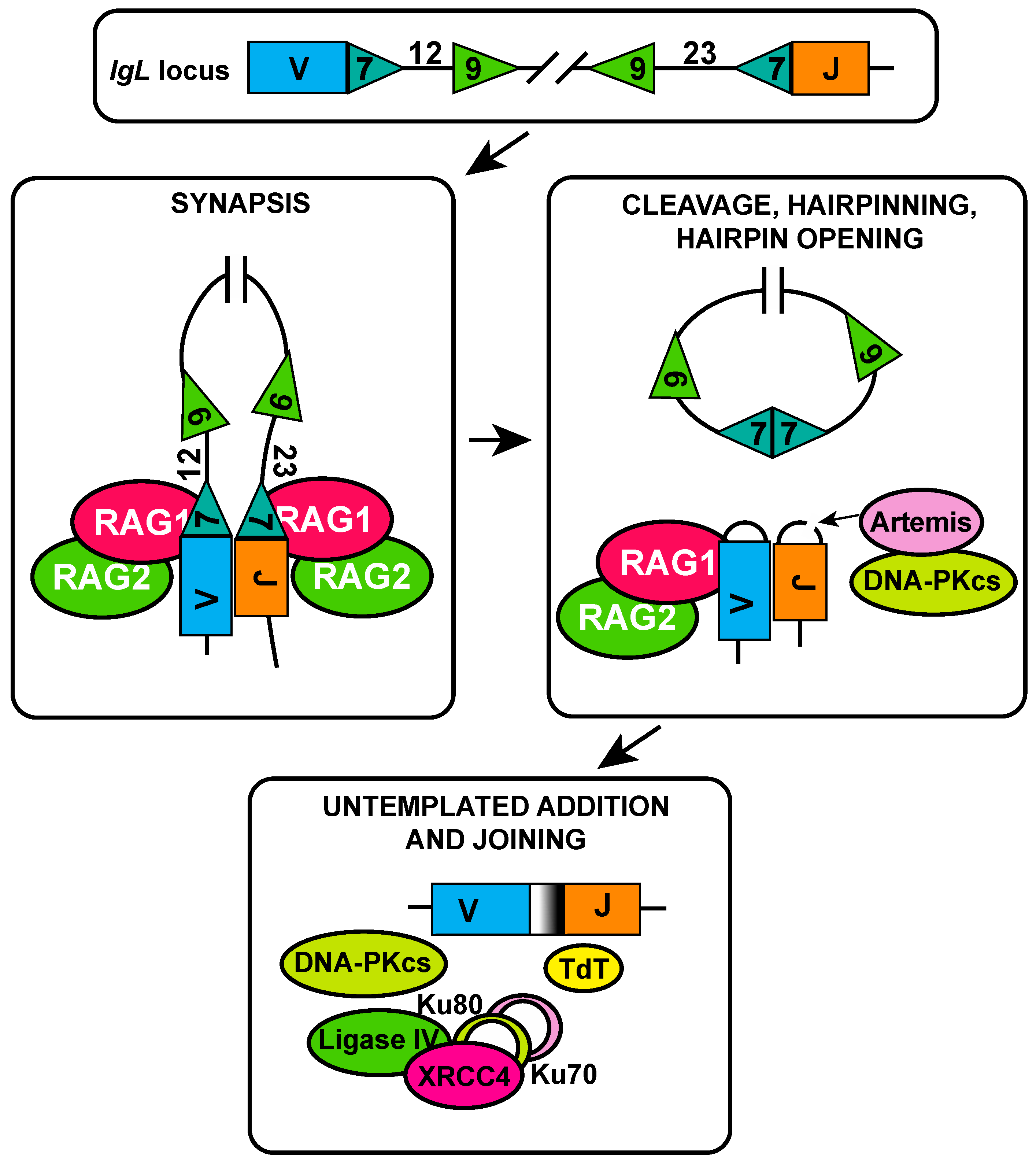 Ijms 18 01876 g002 Ijms 18 01876 g002