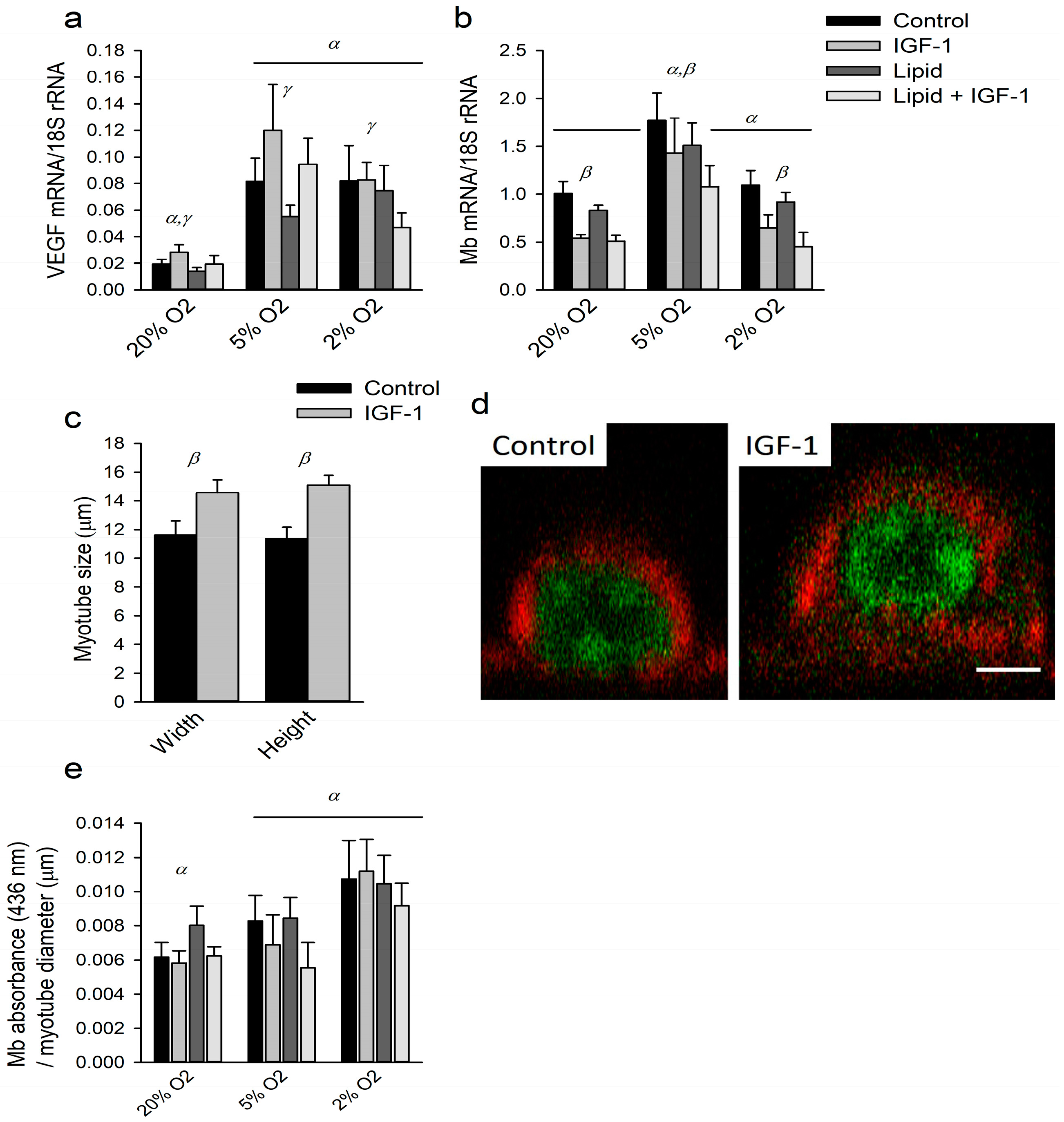 Ijms 18 01889 g004 Ijms 18 01889 g004