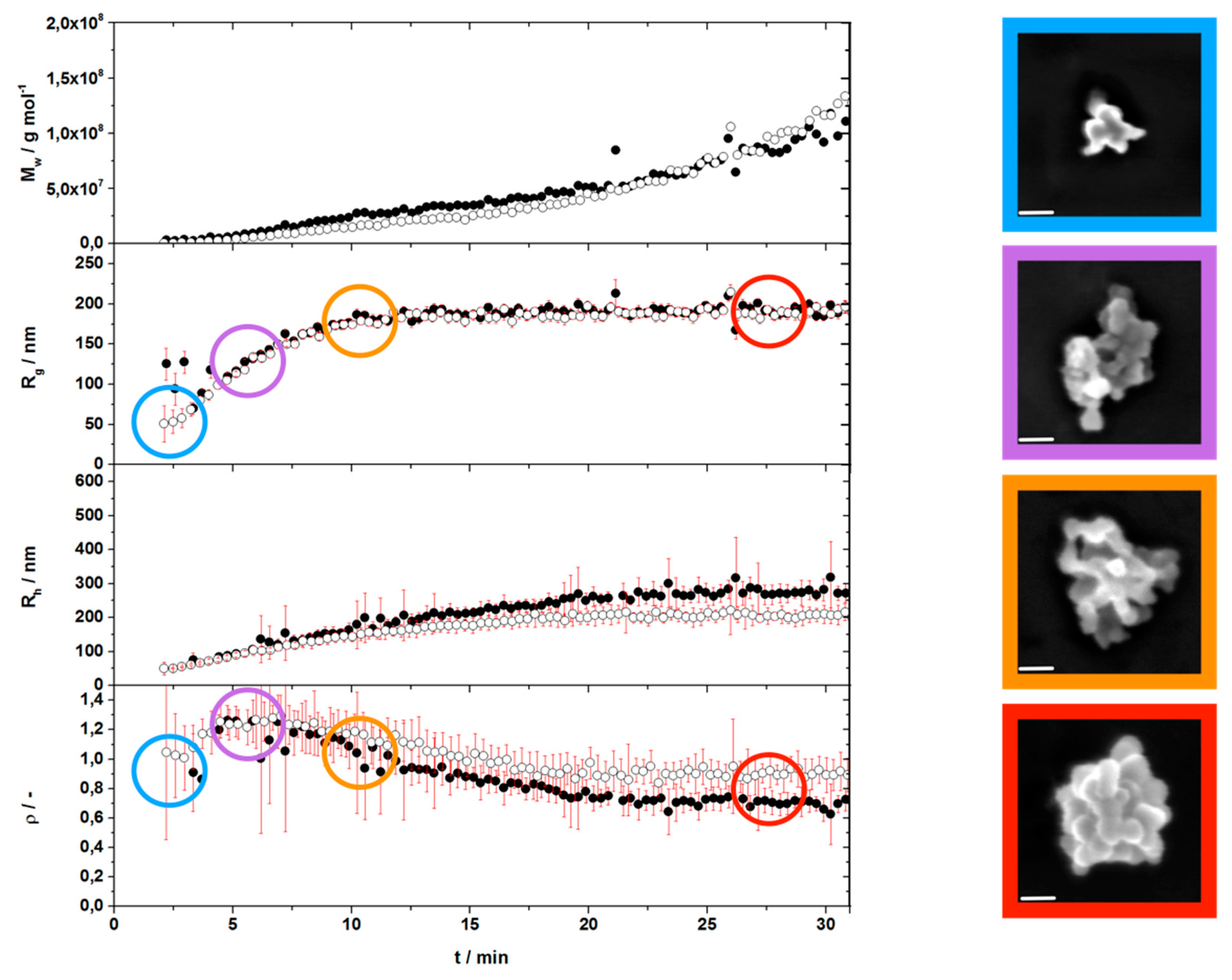 Ijms 18 01901 g003 Ijms 18 01901 g003