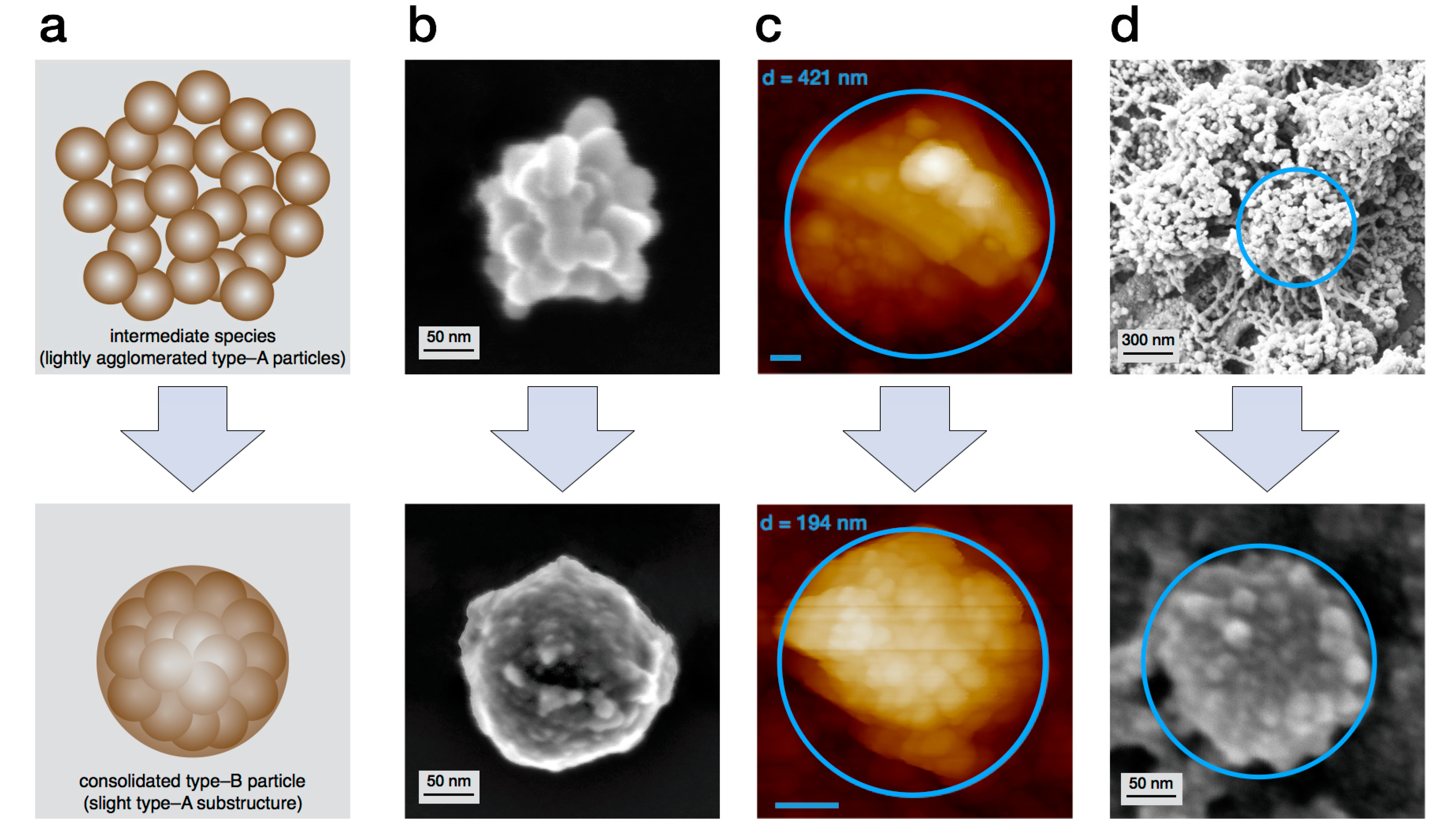 Ijms 18 01901 g004 Ijms 18 01901 g004