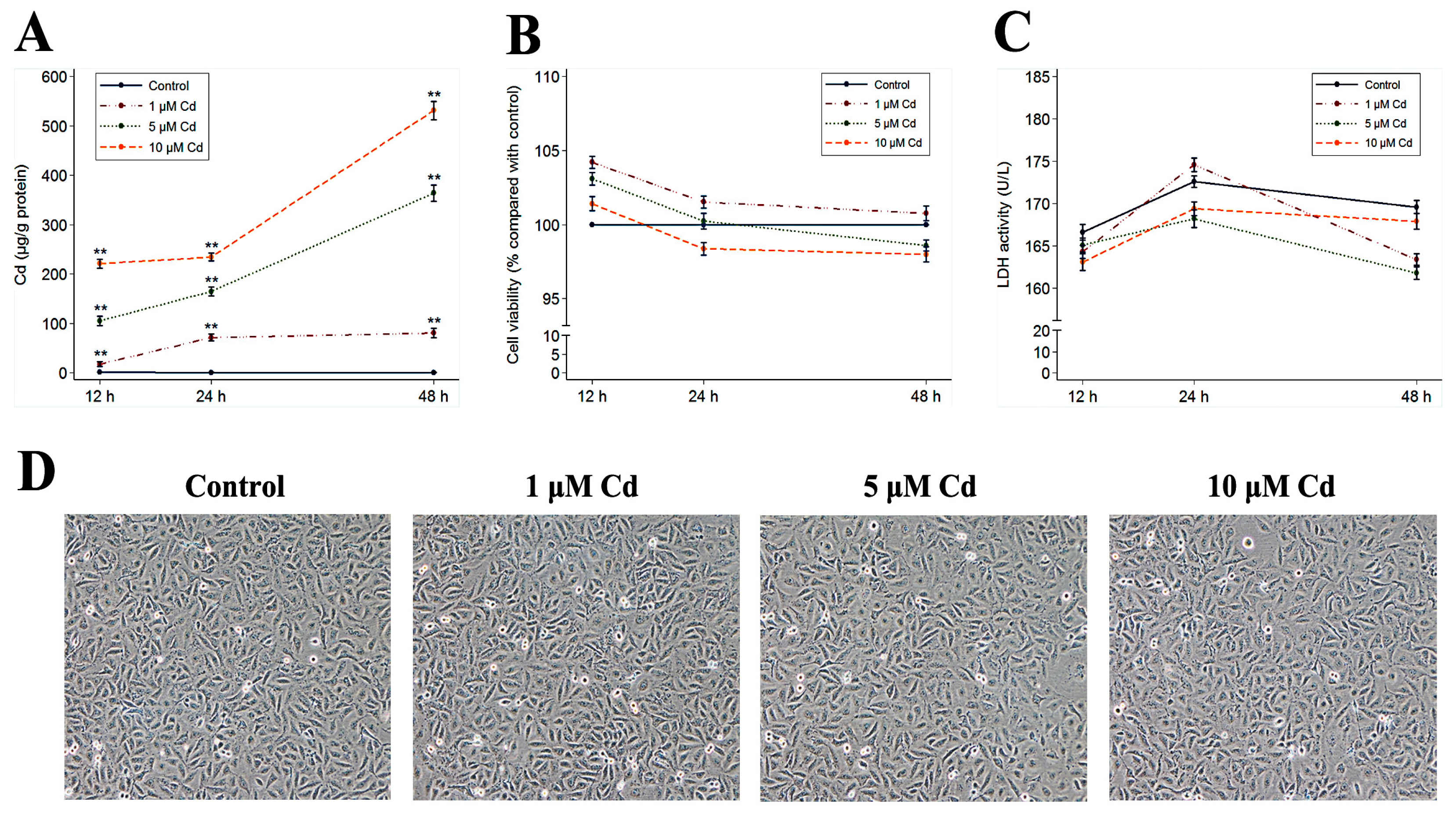 Ijms 18 01905 g001 Ijms 18 01905 g001