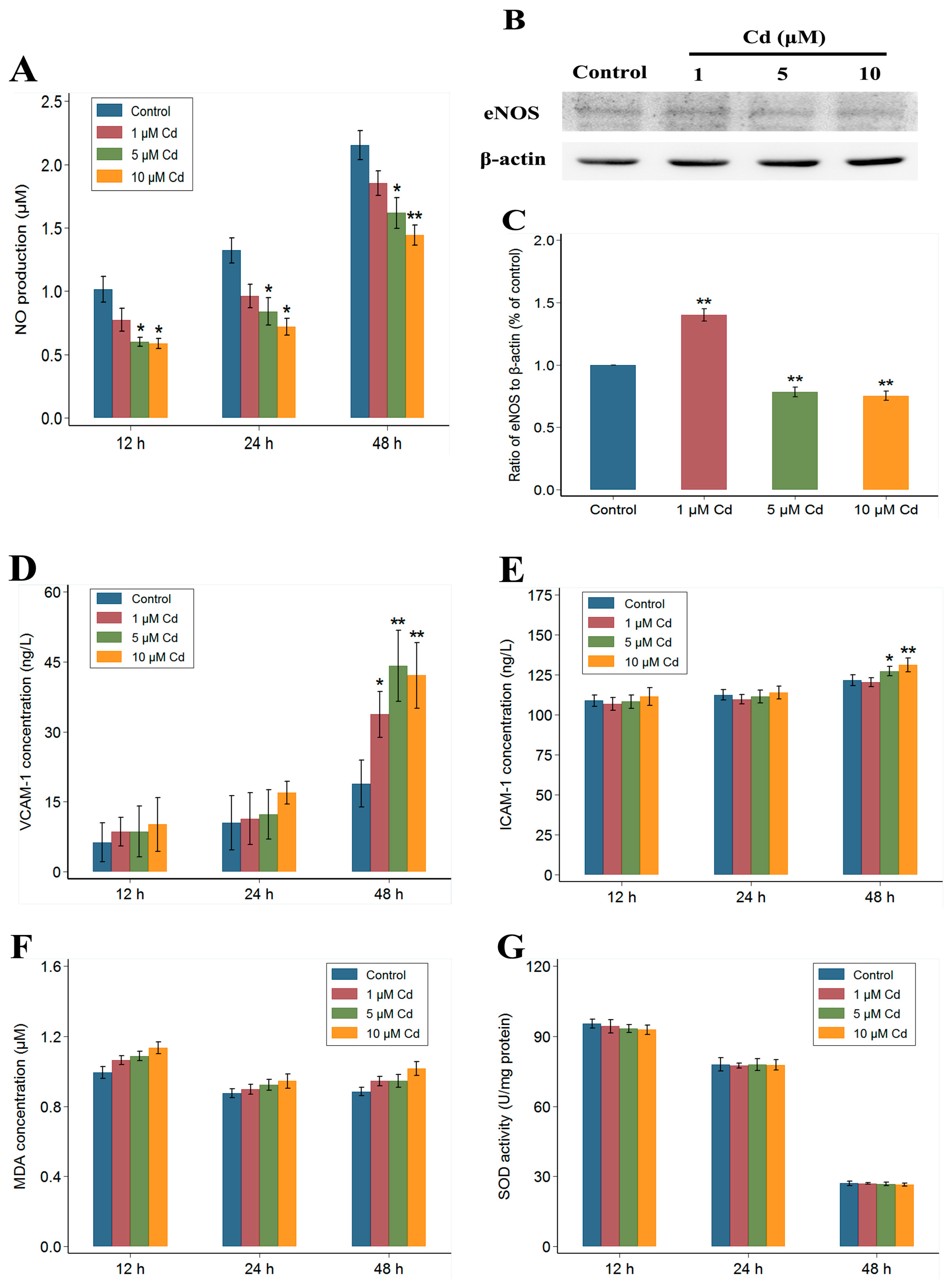 Ijms 18 01905 g004 Ijms 18 01905 g004