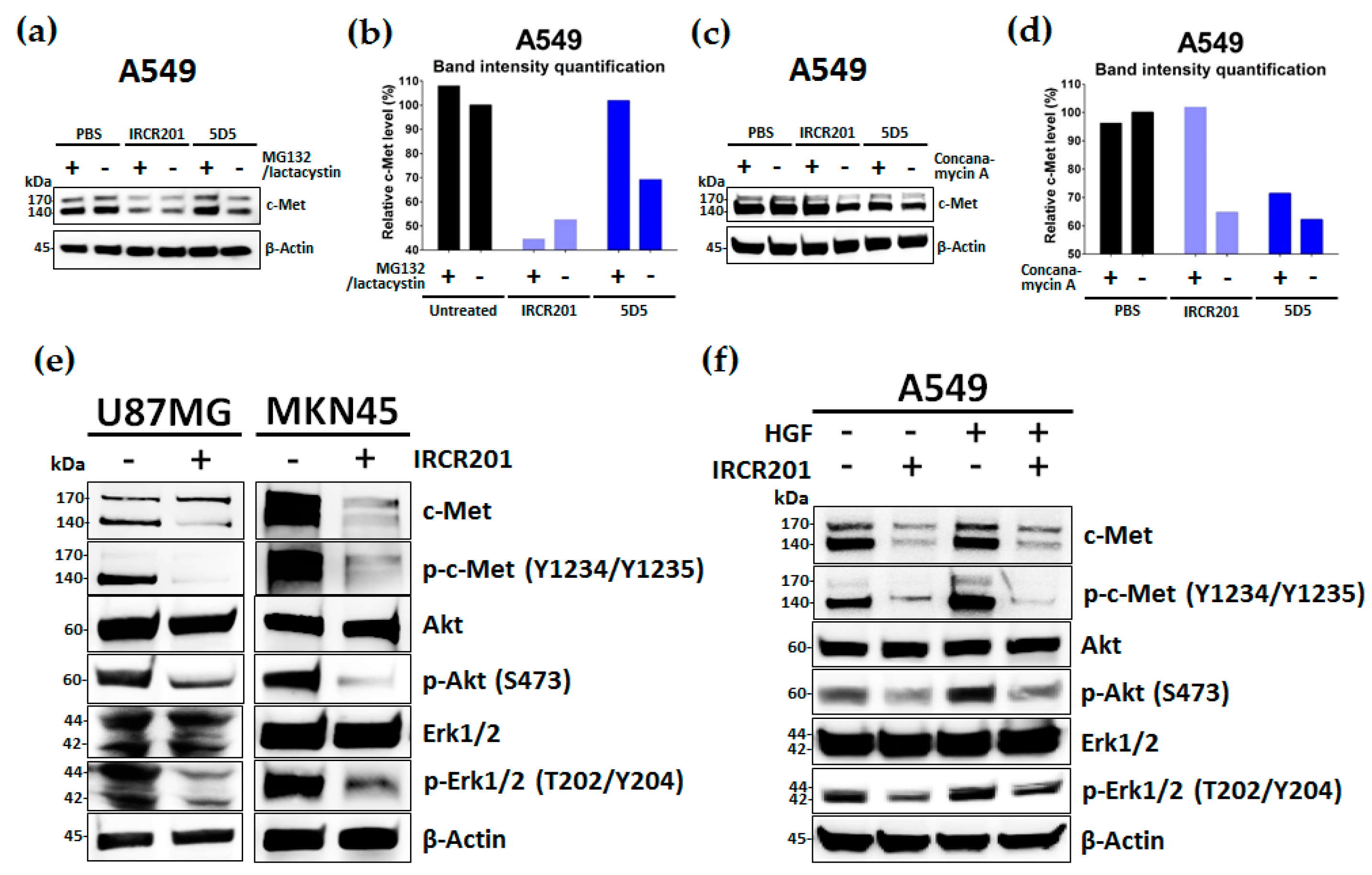 Ijms 18 01968 g007 Ijms 18 01968 g007