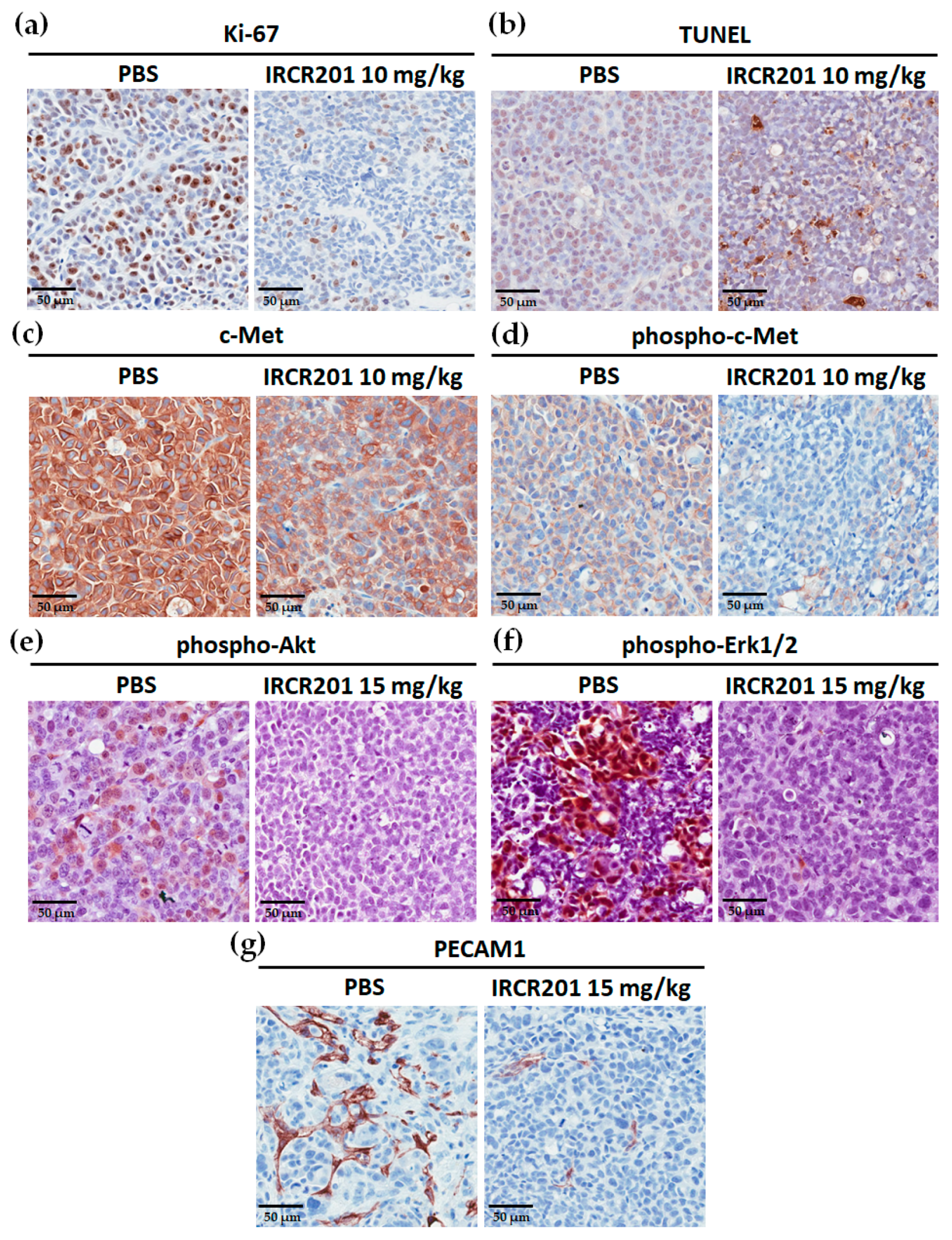Ijms 18 01968 g009 Ijms 18 01968 g009