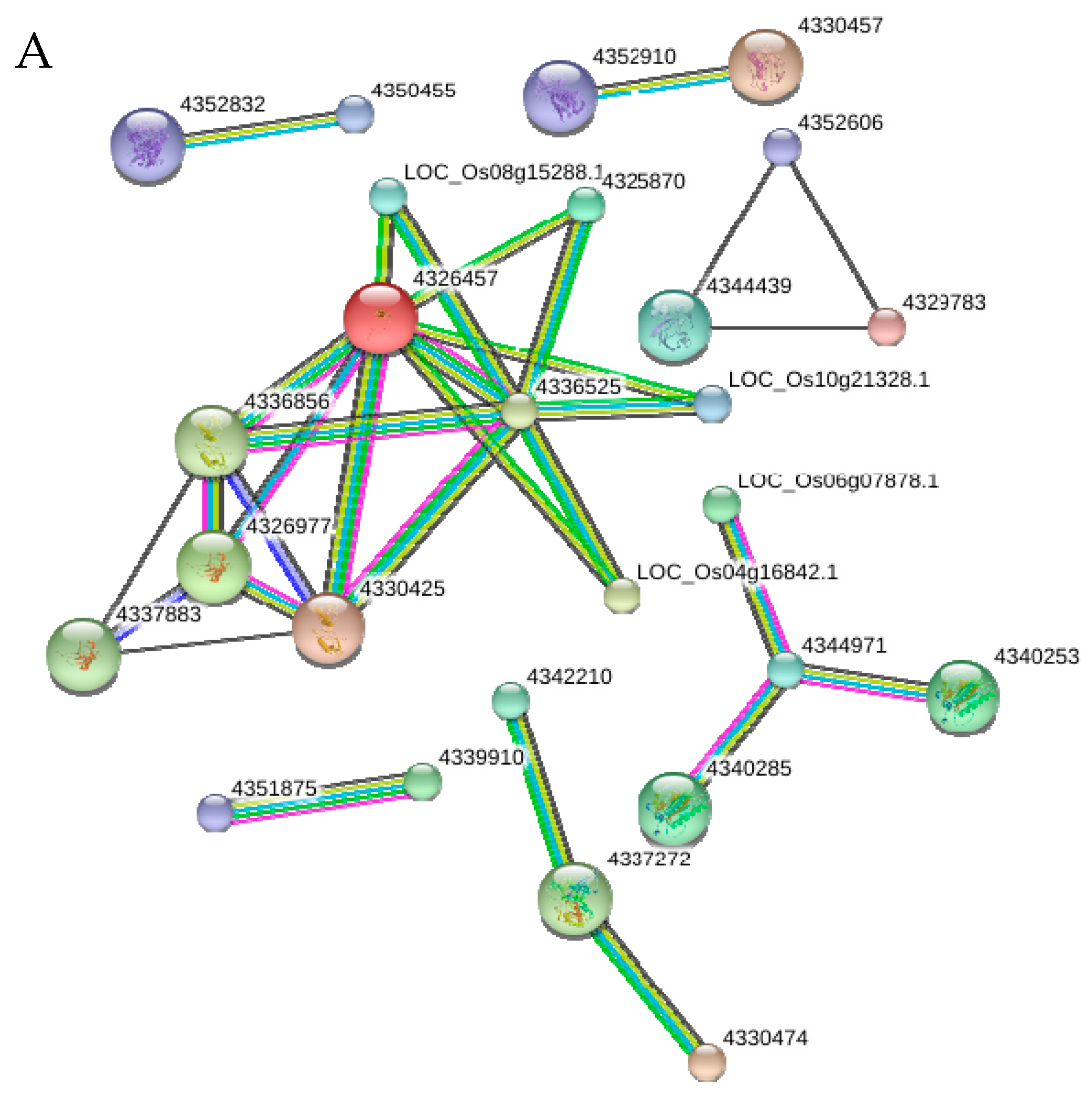 Ijms 18 01975 g008a Ijms 18 01975 g008a
