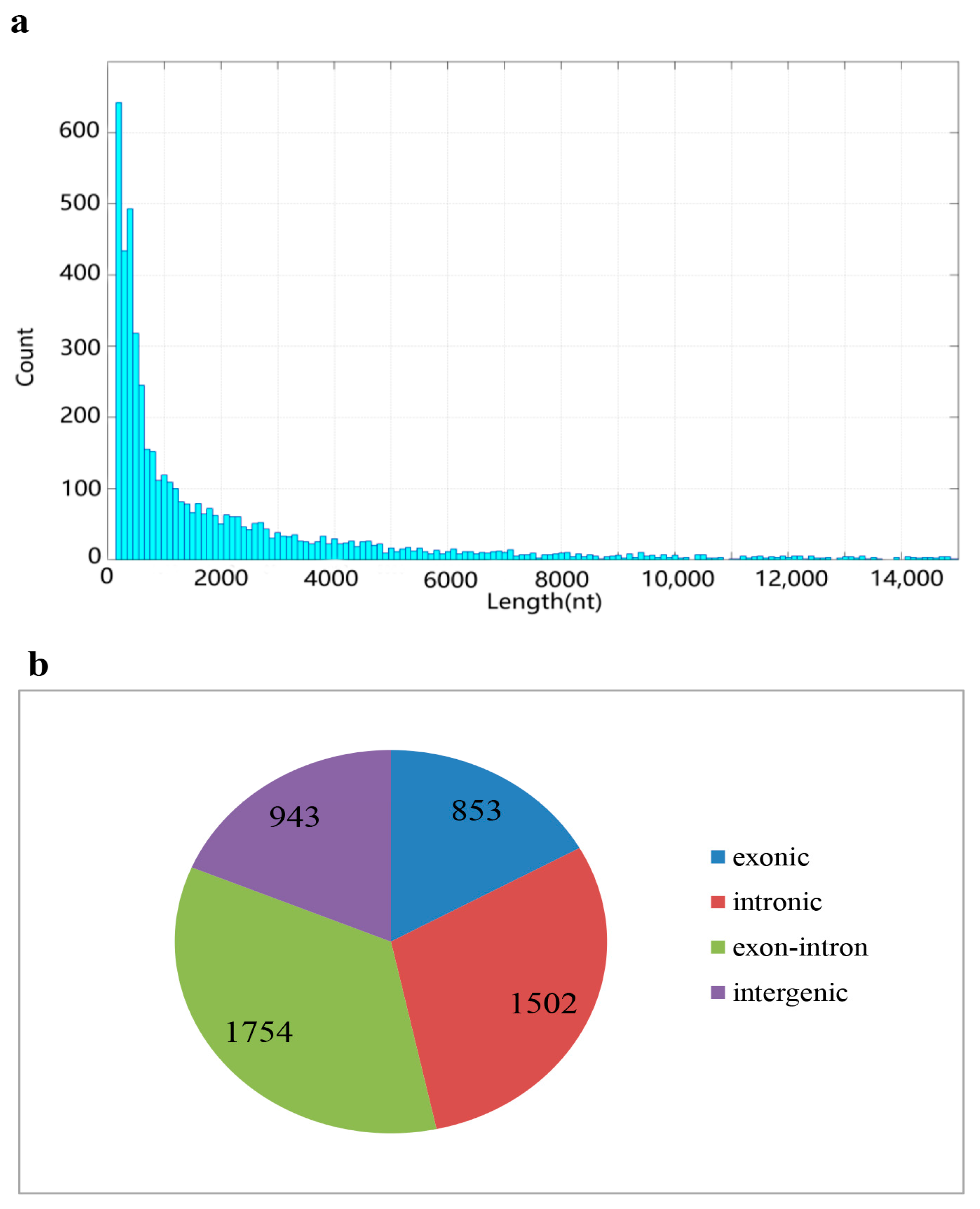 Ijms 18 01977 g001 Ijms 18 01977 g001