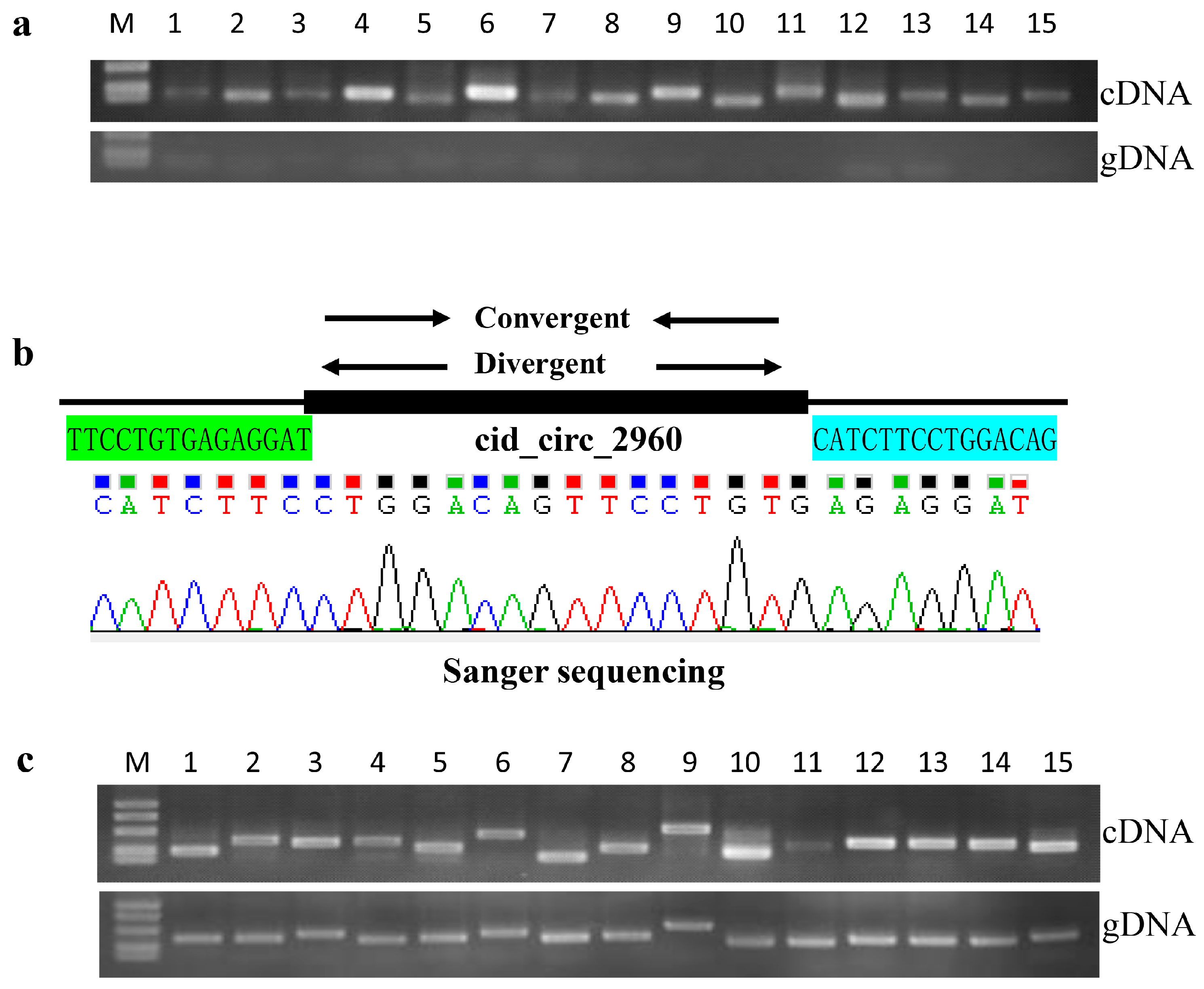Ijms 18 01977 g007 Ijms 18 01977 g007